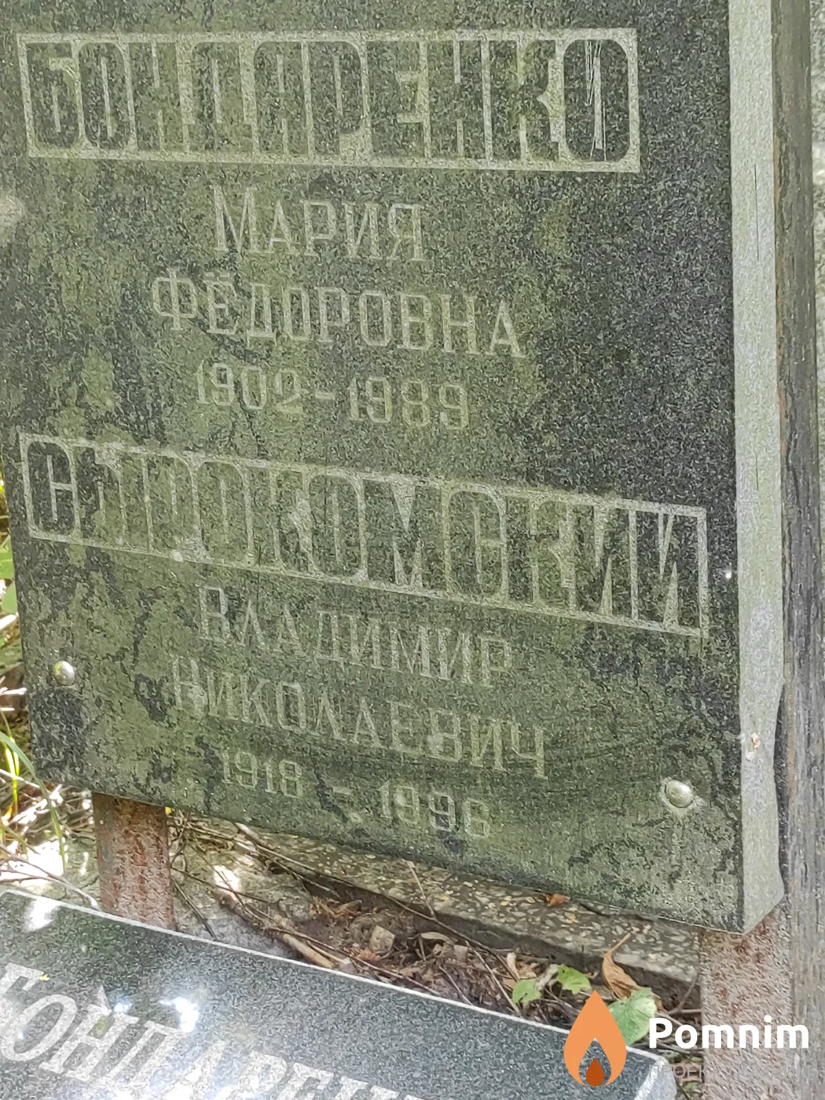 Сырокомский Владимир Николаевич
