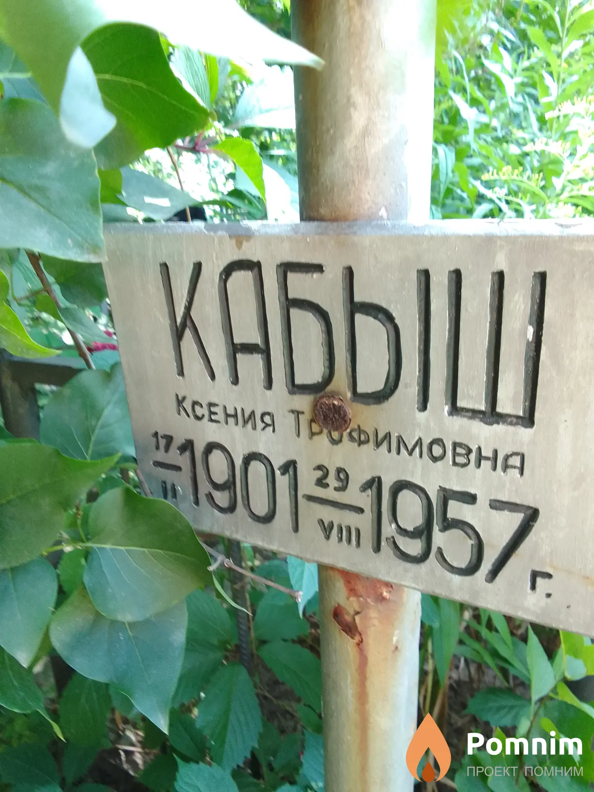 Кабыш Ксения Трофимовна