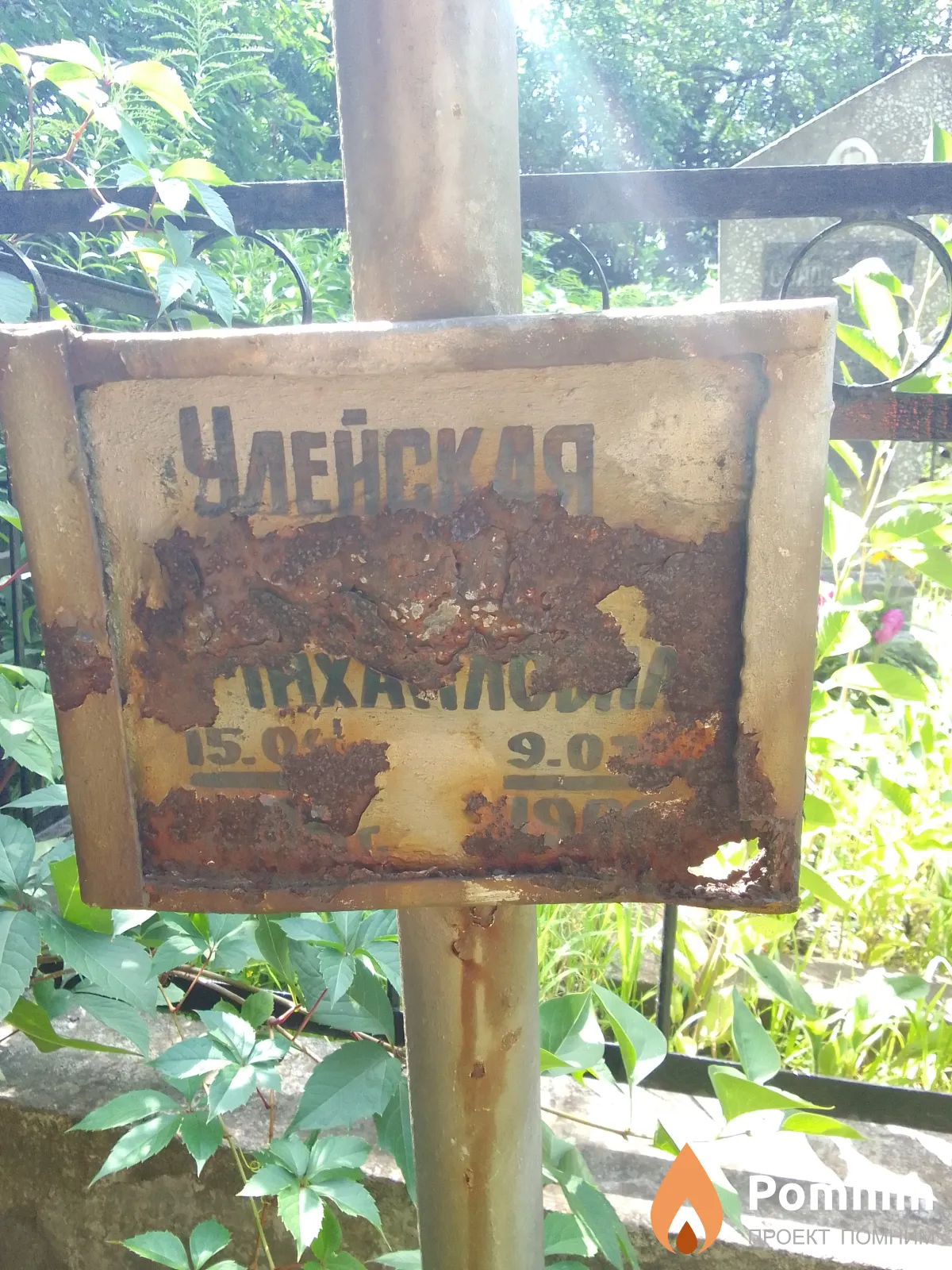 Улейская А Михайловна