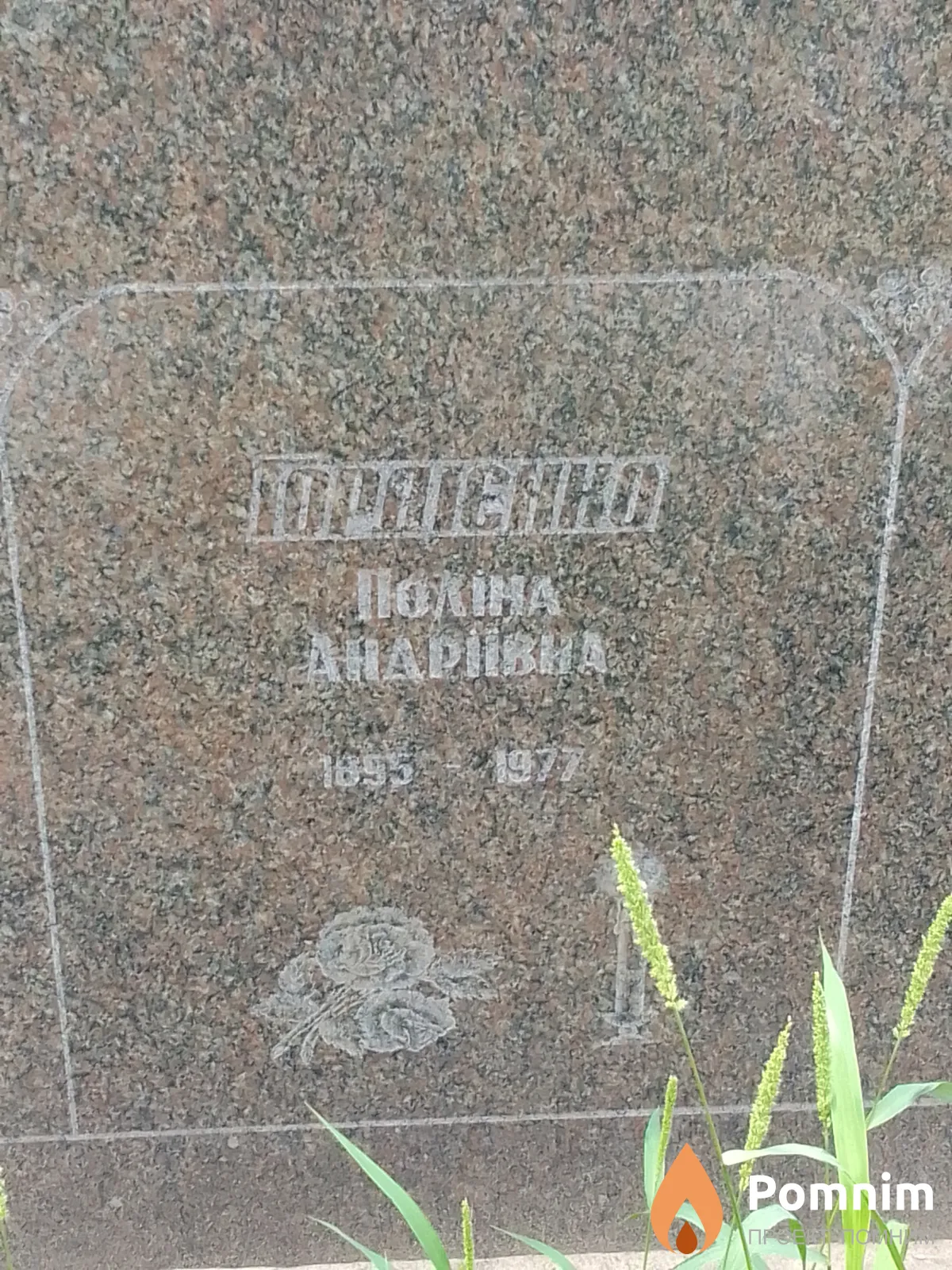 Гордієнко Поліна Андріївна