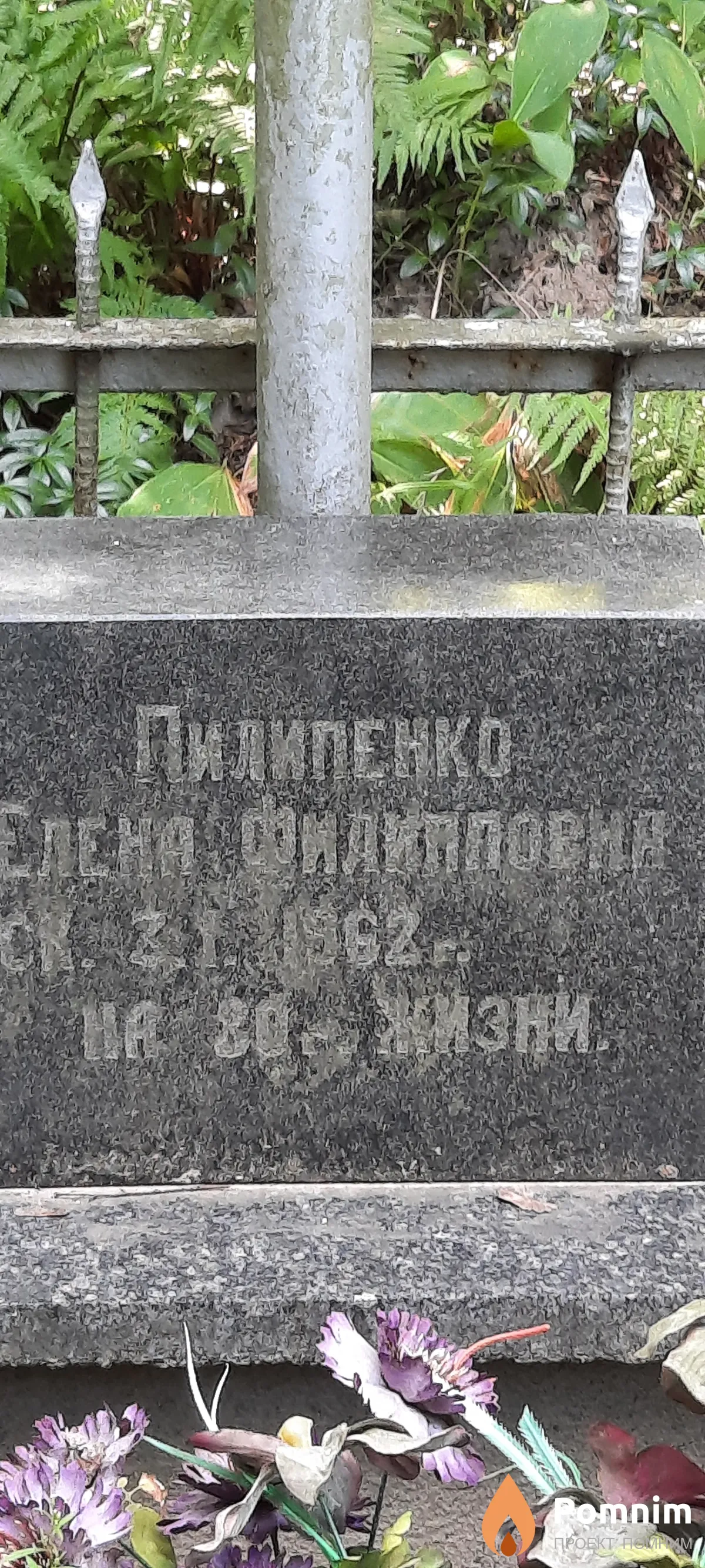 Пилипенко Елена Филипповна