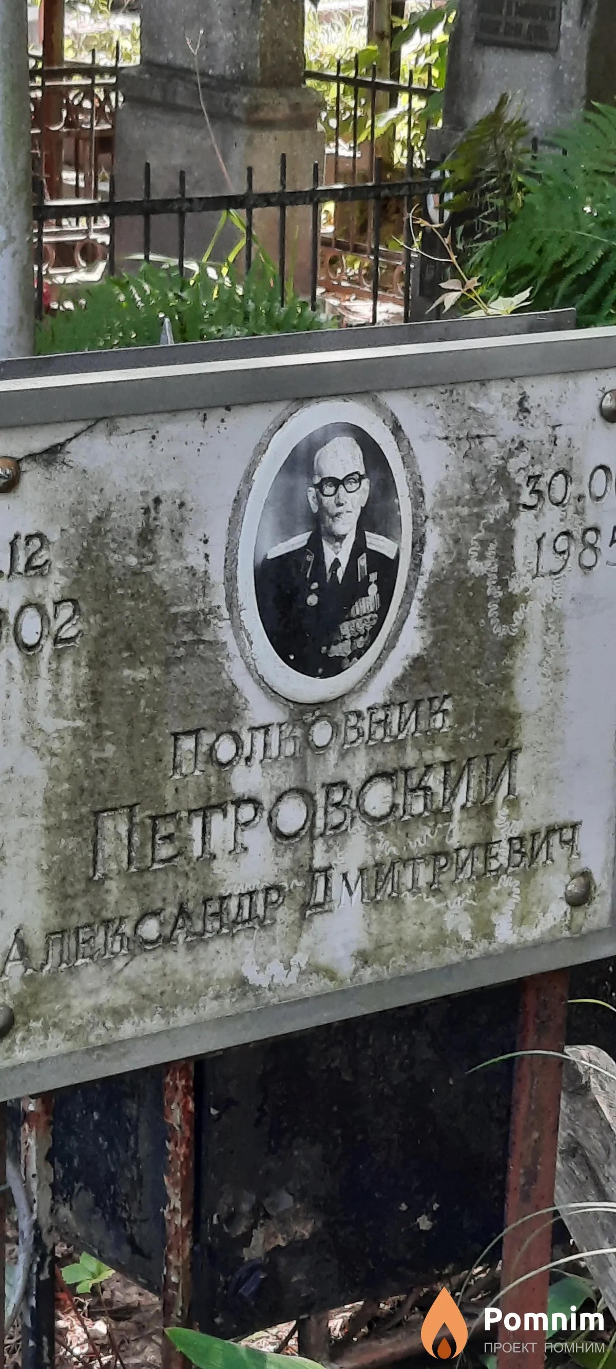 Петровский Александр Дмитриевич