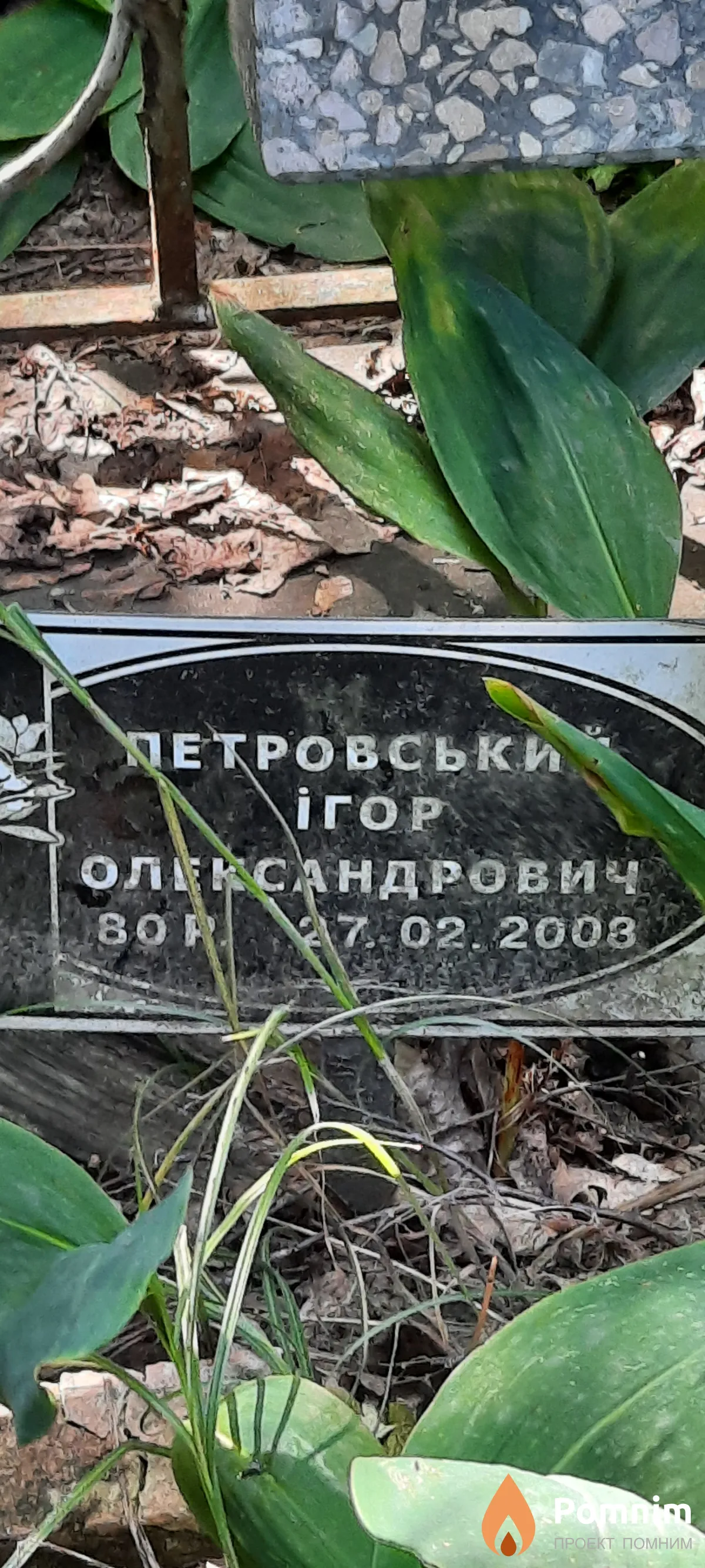 Петровский Ігор Олександрович