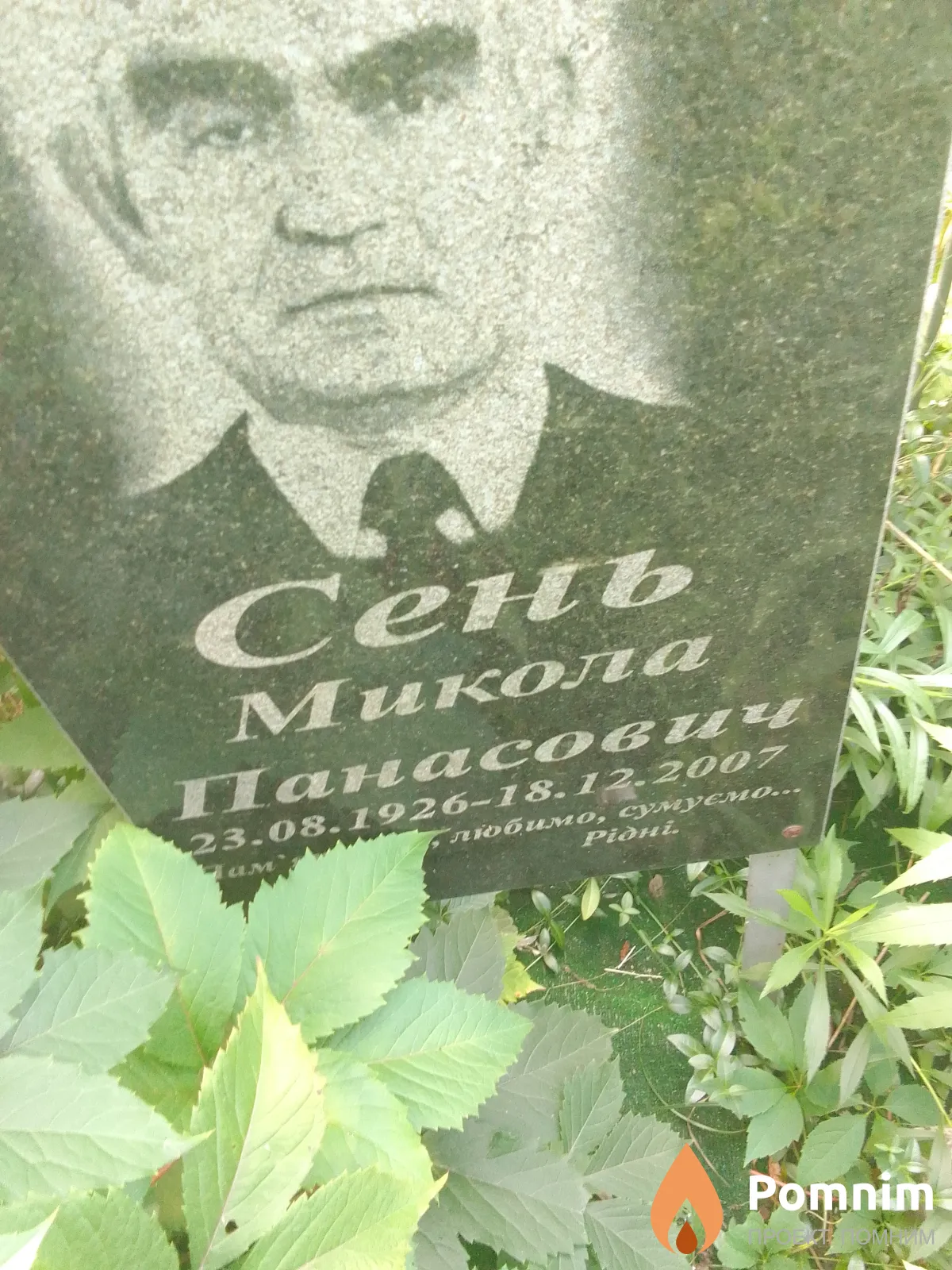 Сень Микола Панасович
