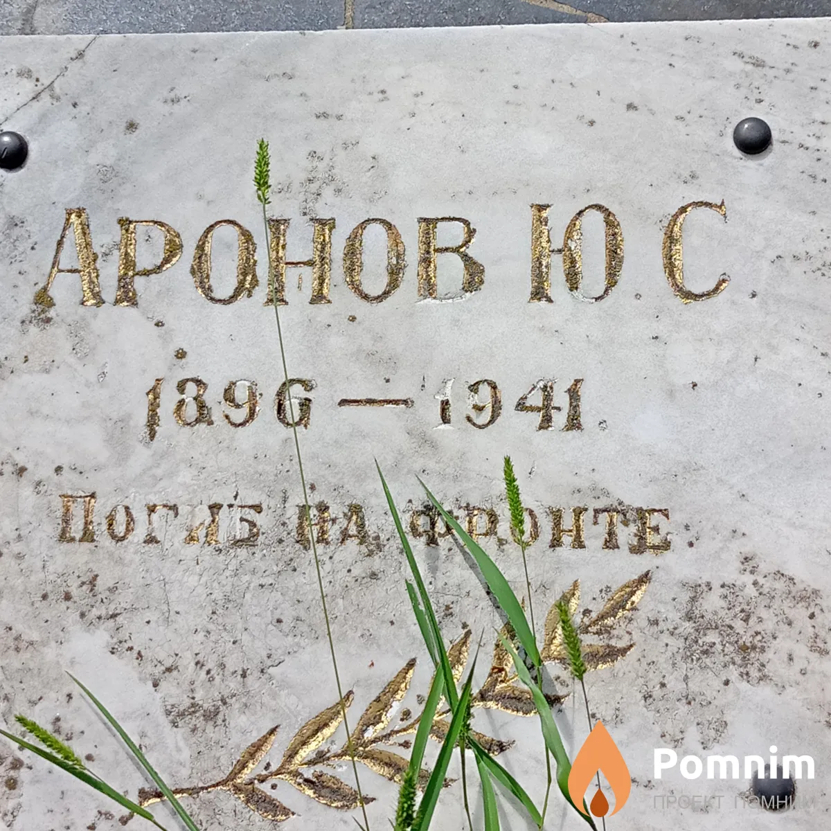 Аронов Ю С