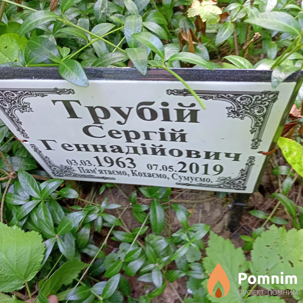 Трубий Сергей Геннадиевич