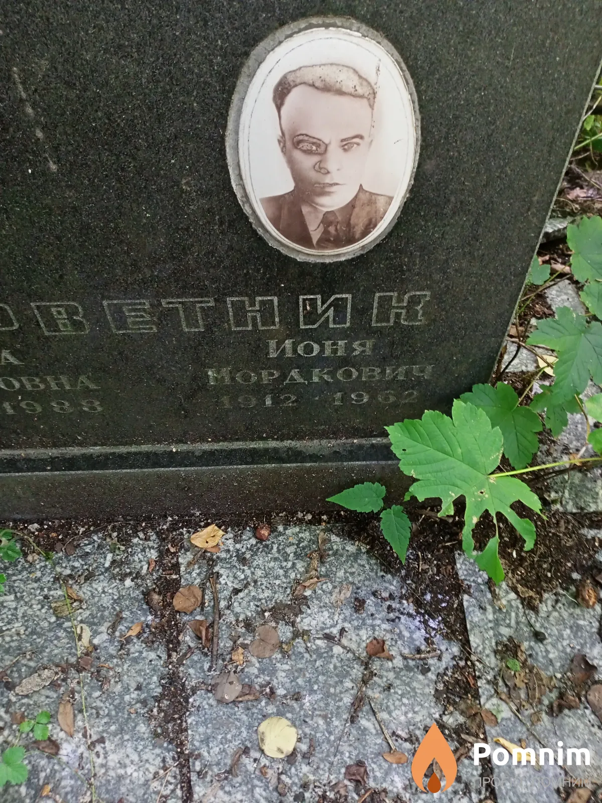 Серветник Ионя Мордкович
