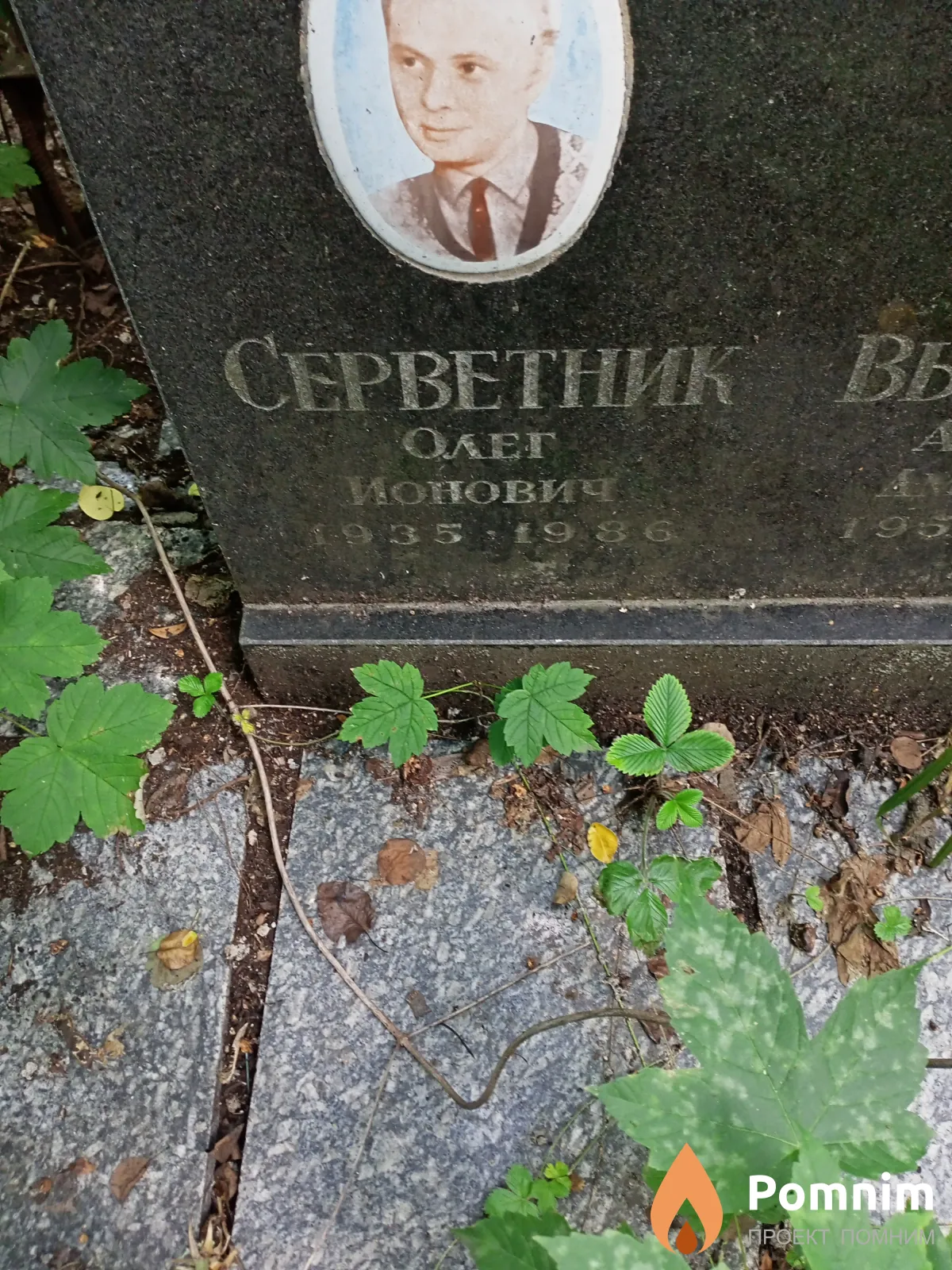 Серветник Олег Ионович