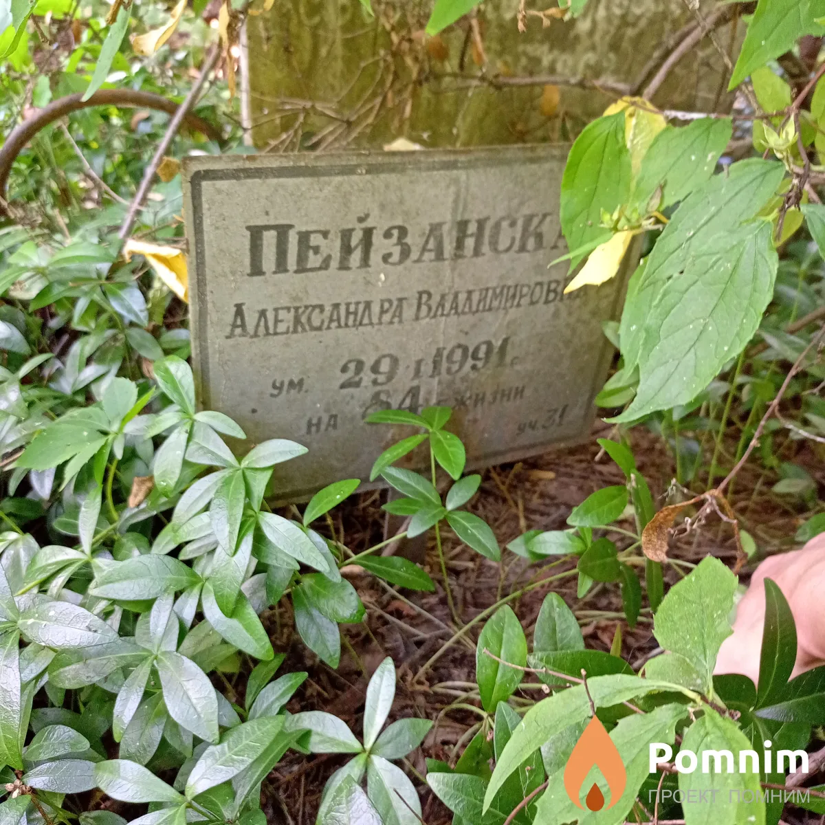 Пейзанская Александра Владимировна