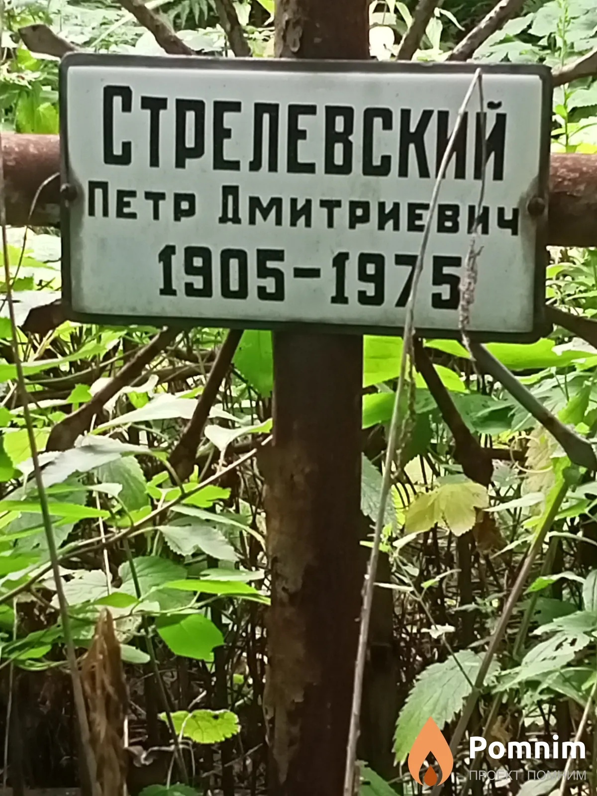 Стрелевский Петр Дмитриевич