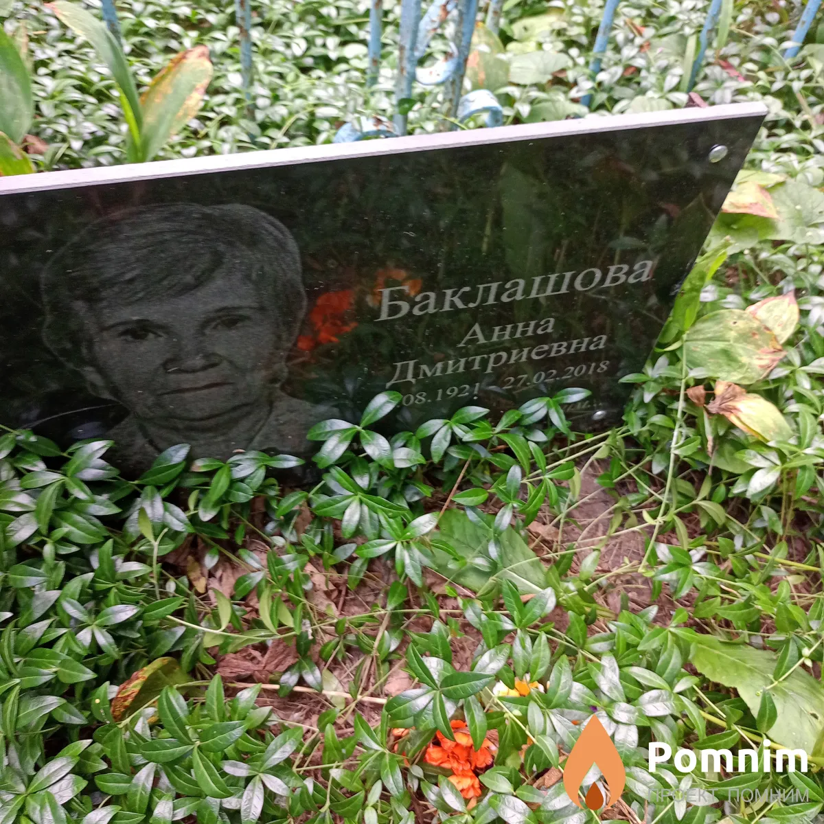 Бакланова Анна Дмитриевна