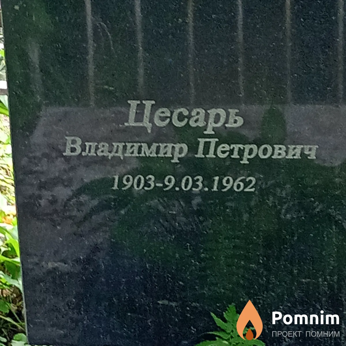 Цесарь Владимир Петрович