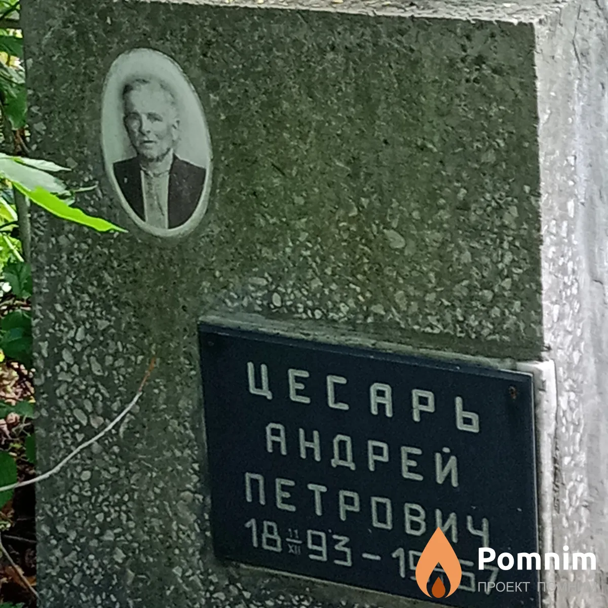 Цесарь Андрей Петрович