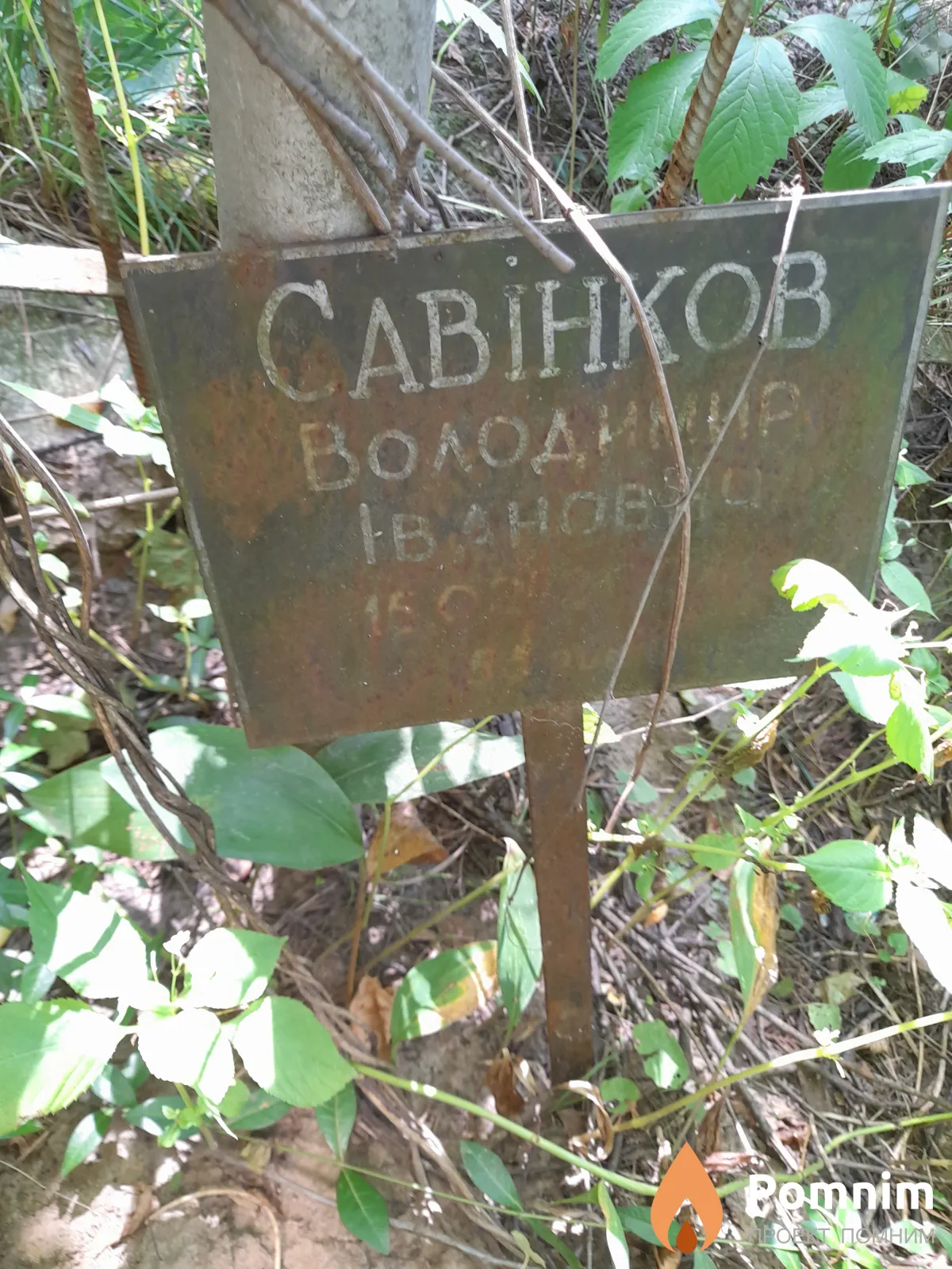 Савінков Володимир Иванович