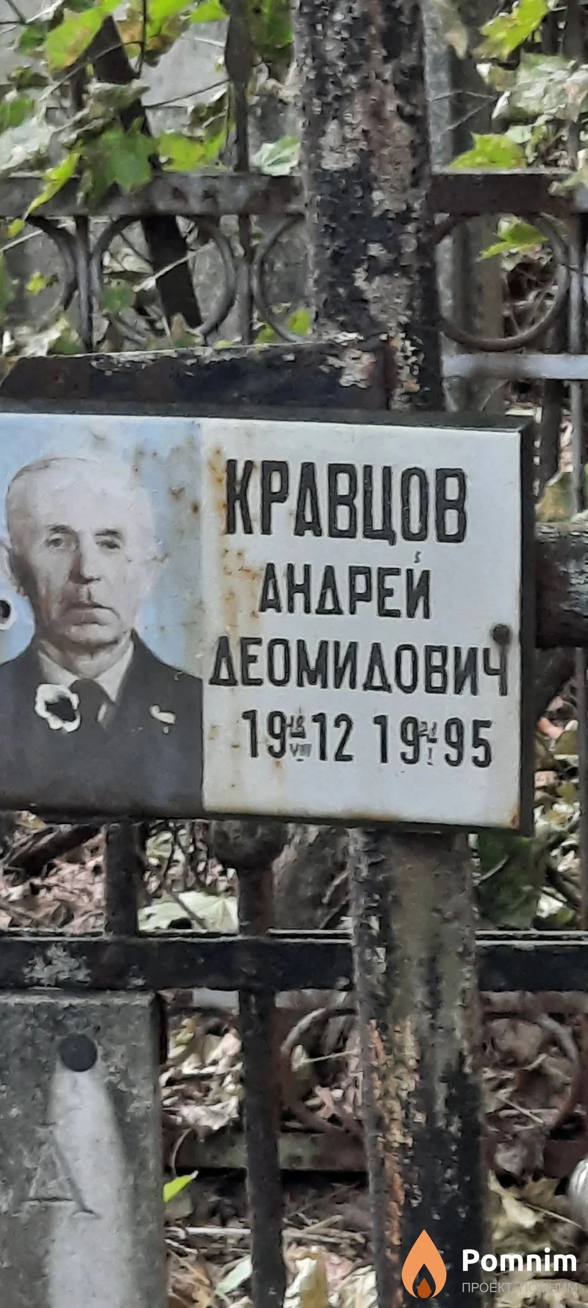 Кравцов Андрей Деомидович