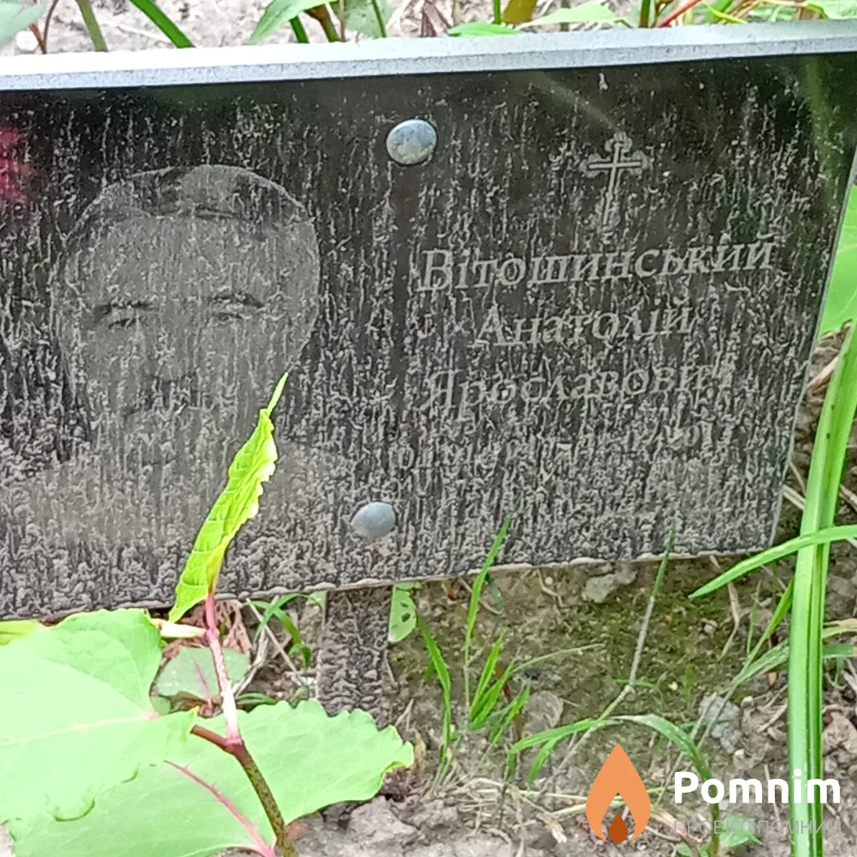Витошинский Анатолий Ярославович
