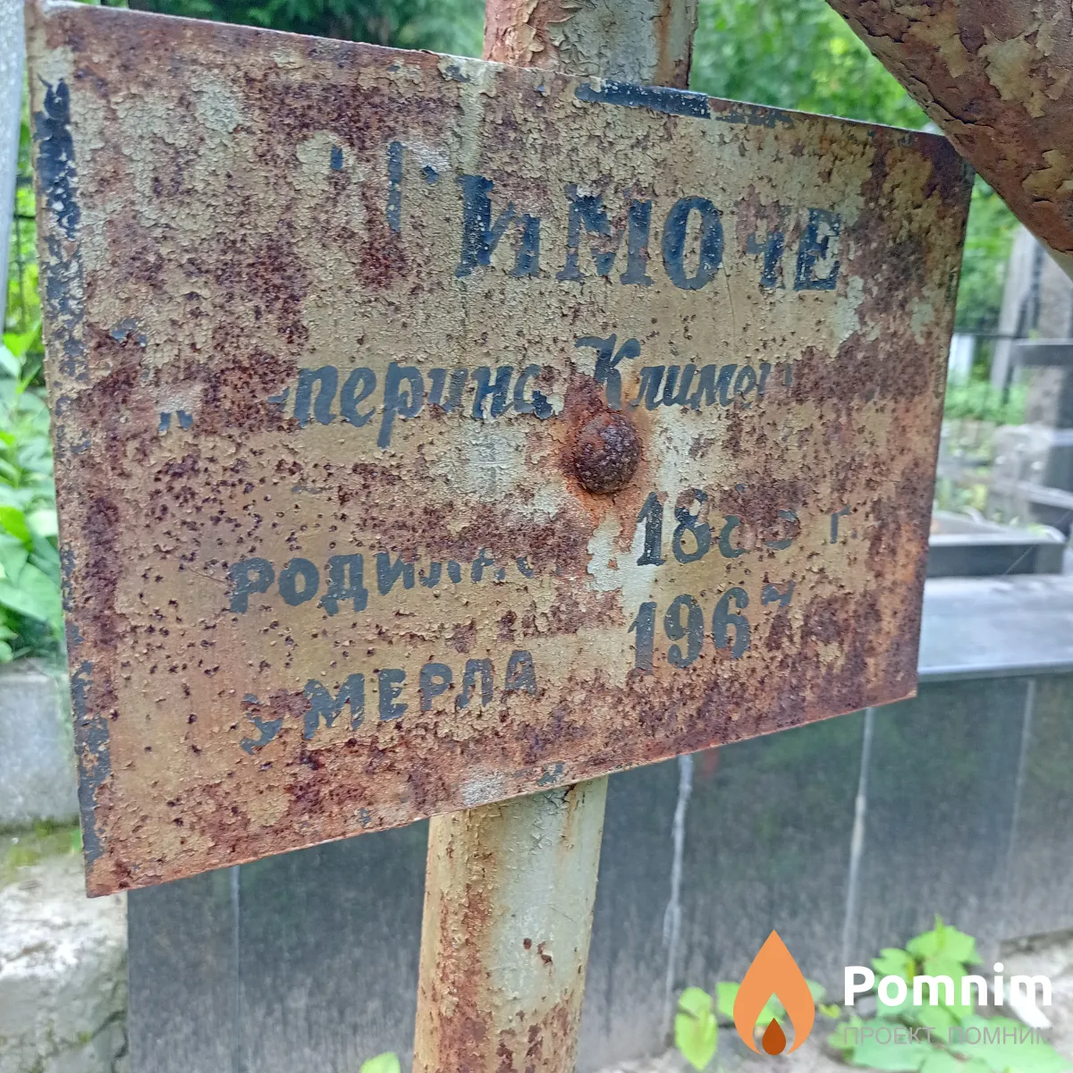 Тимоче Екатерина Климентьевна