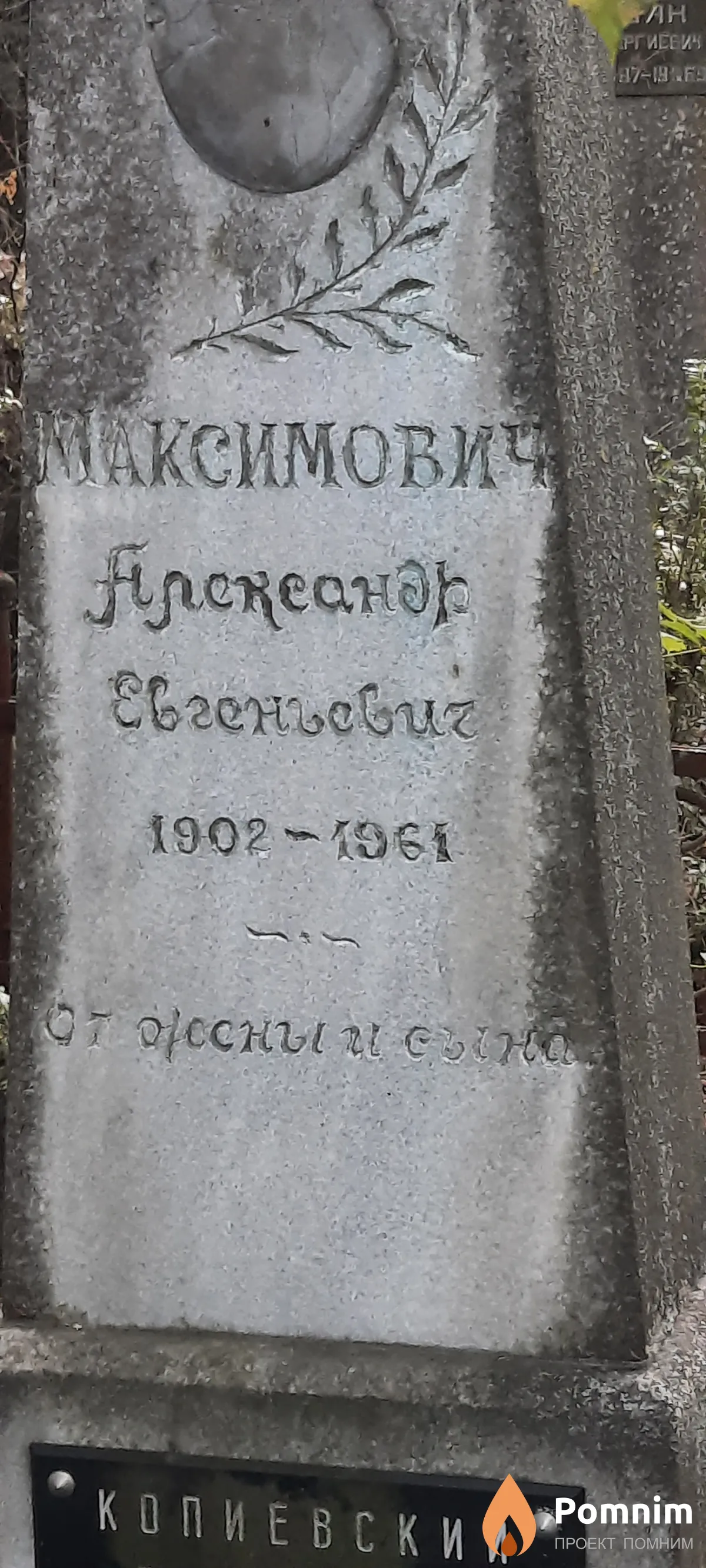 Максимович Александр Евгеньевич