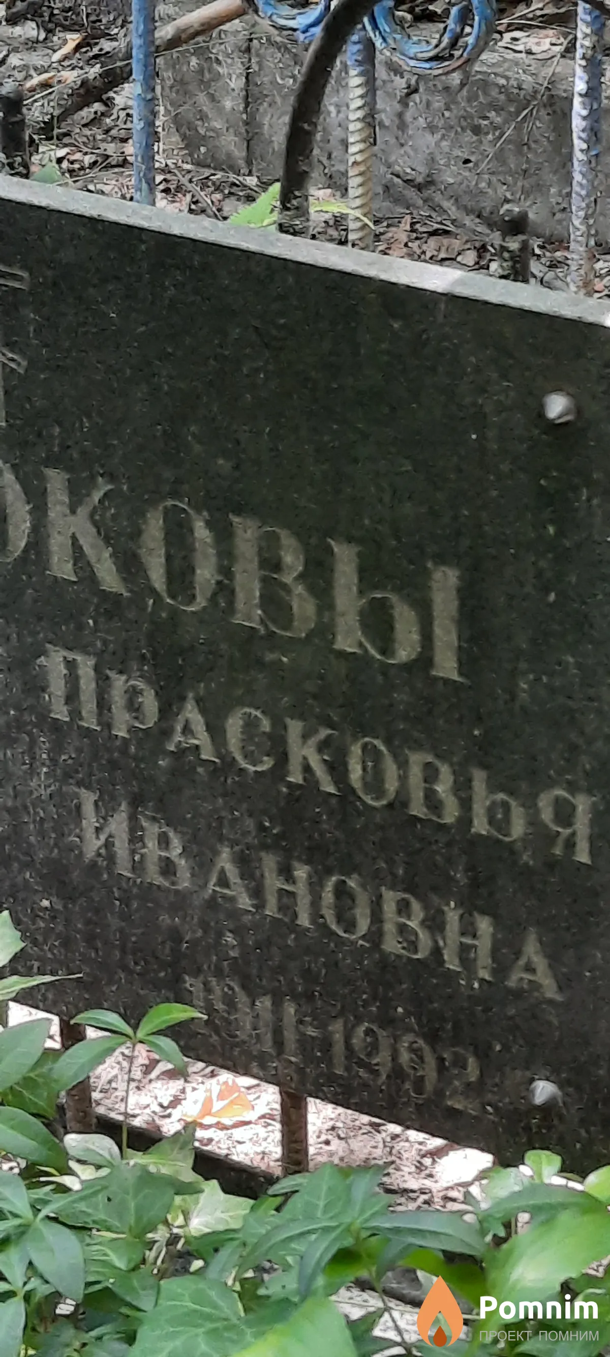 Сердюкова Прасковья Ивановна