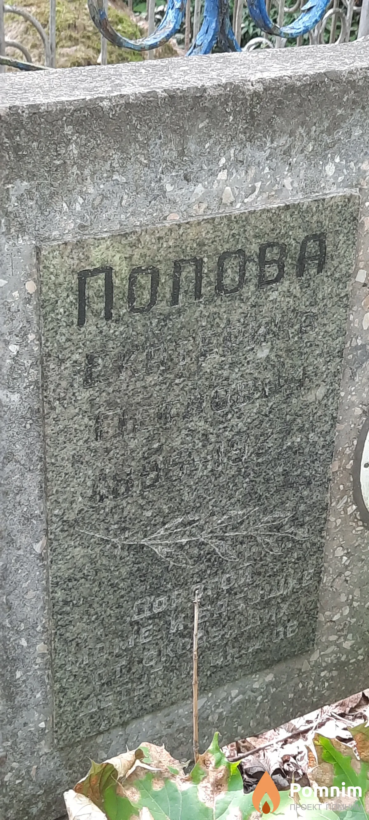 Попова Екатерина