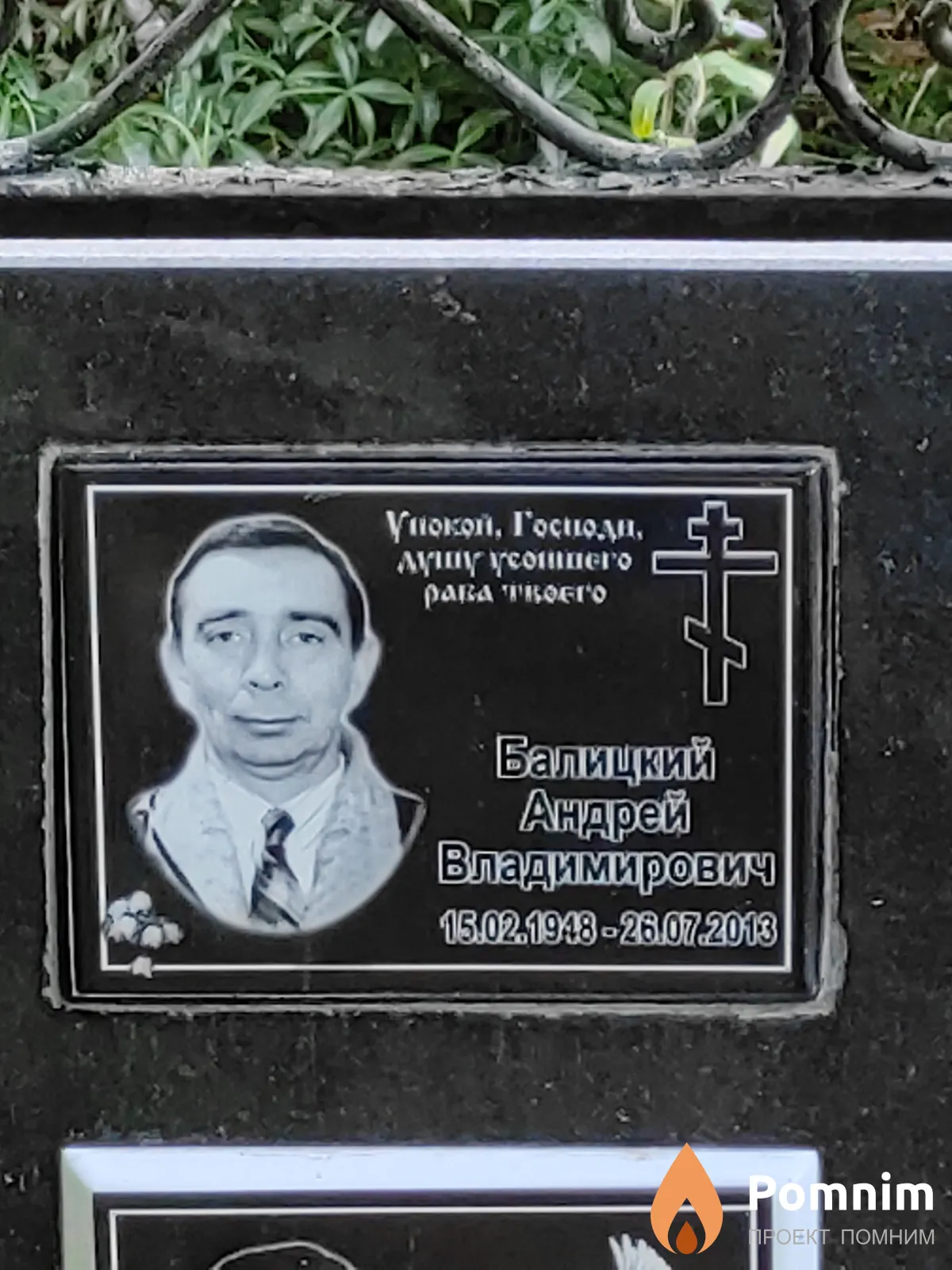 Балицкий Андрей Владимирович