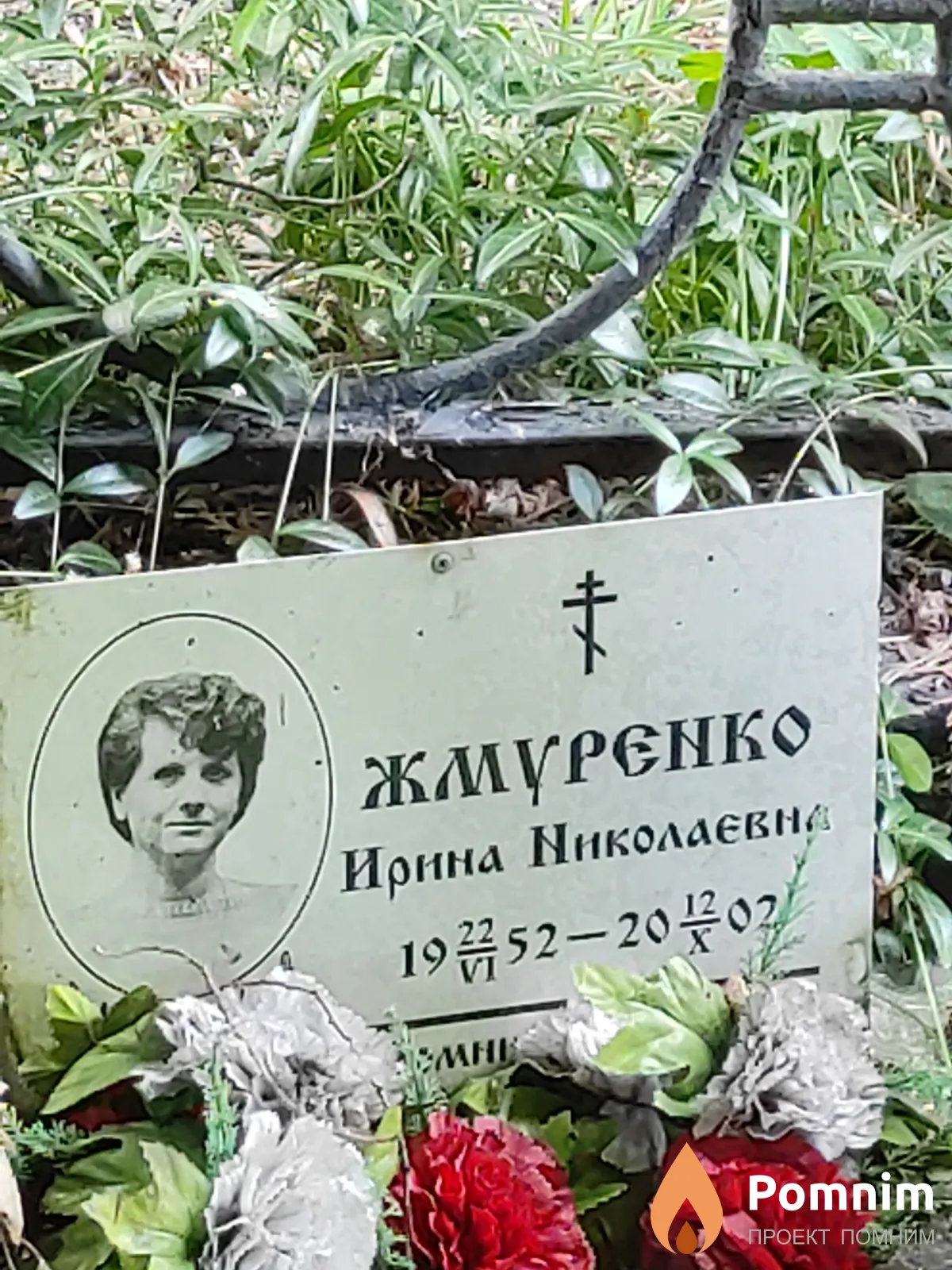 Жмуpєнко Ирина Николаевна