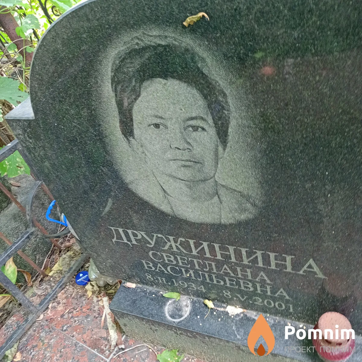 Дружинина Светлана Васильевна