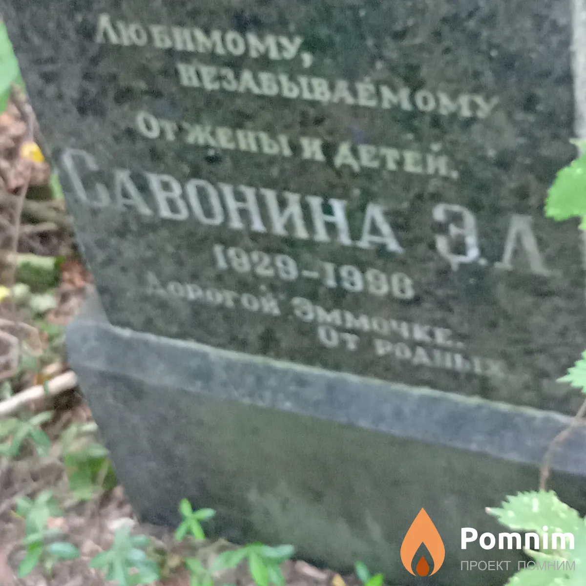 Савонина Э Л