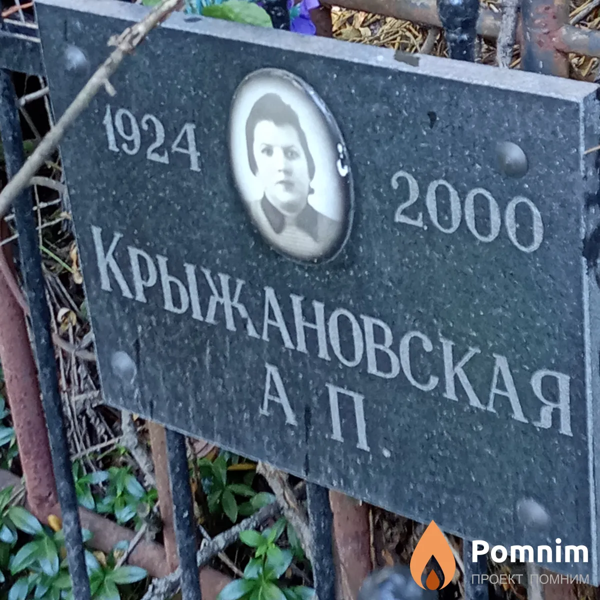 Крыжановская А П