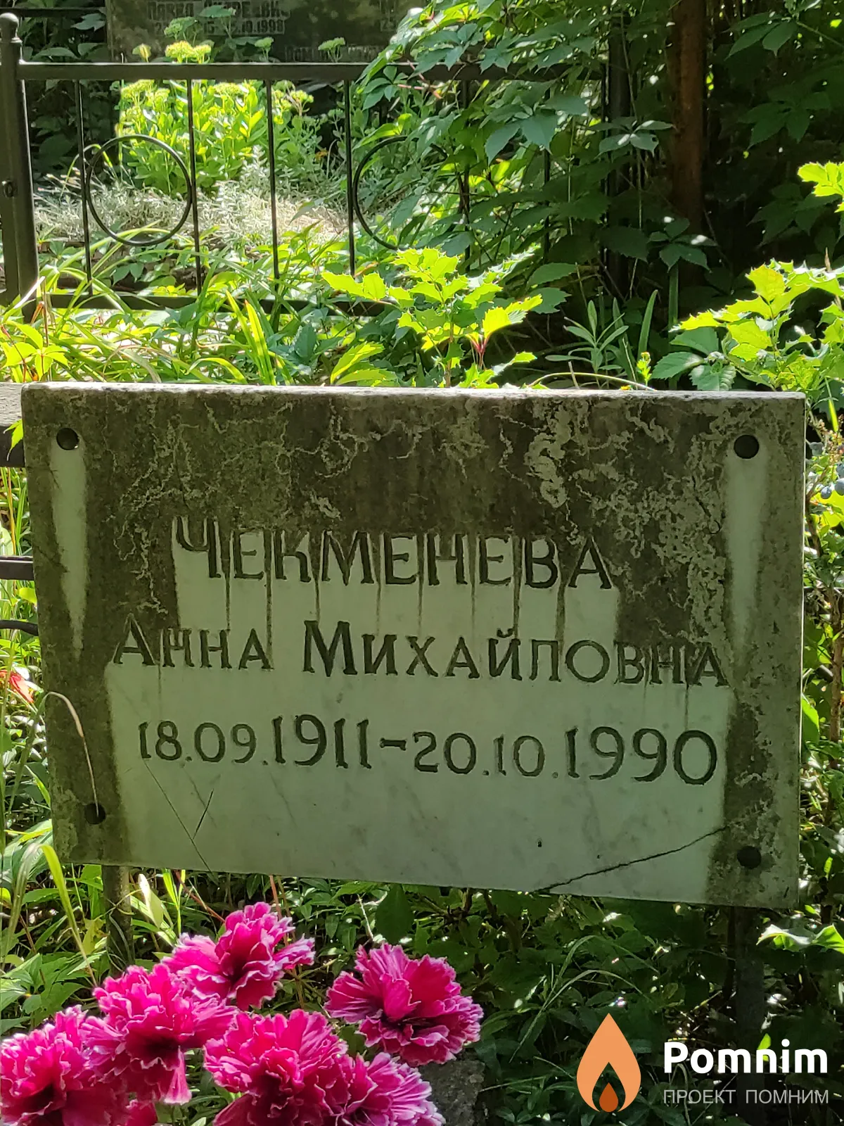 Чекменева Анна Михайловна