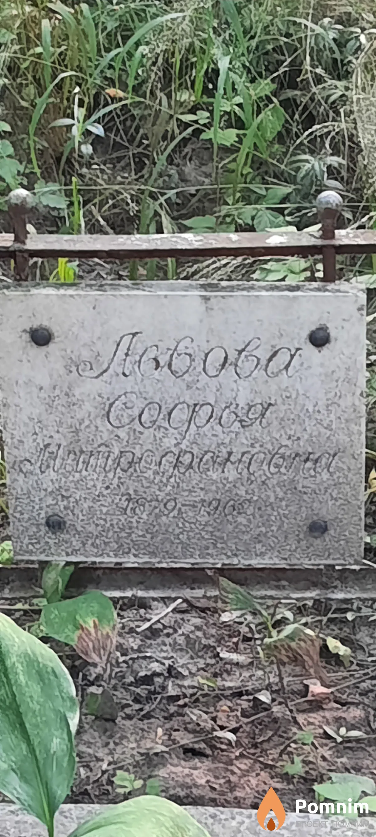Львова Софья Митрофанов6а