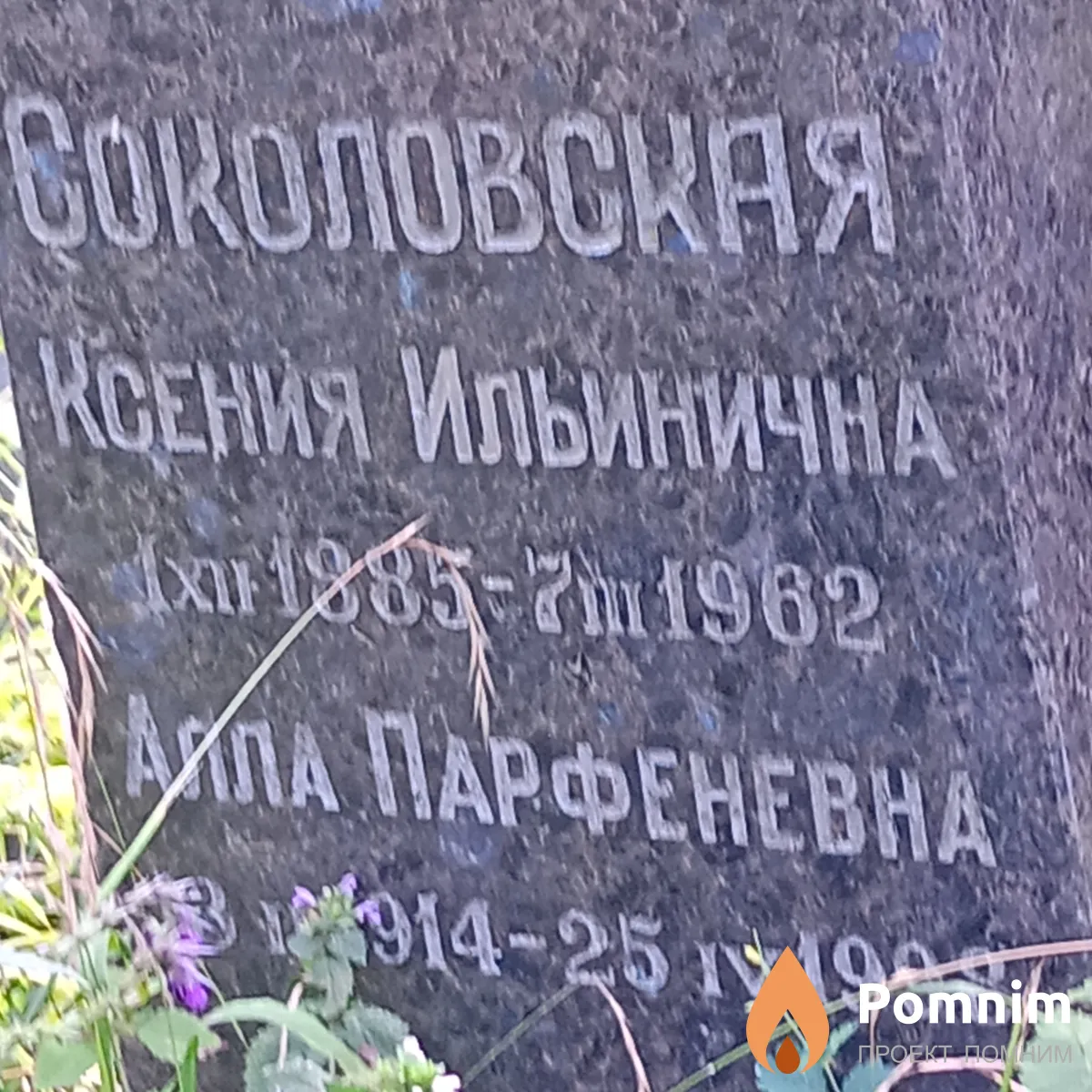 Соколовская Ксения Ильинична