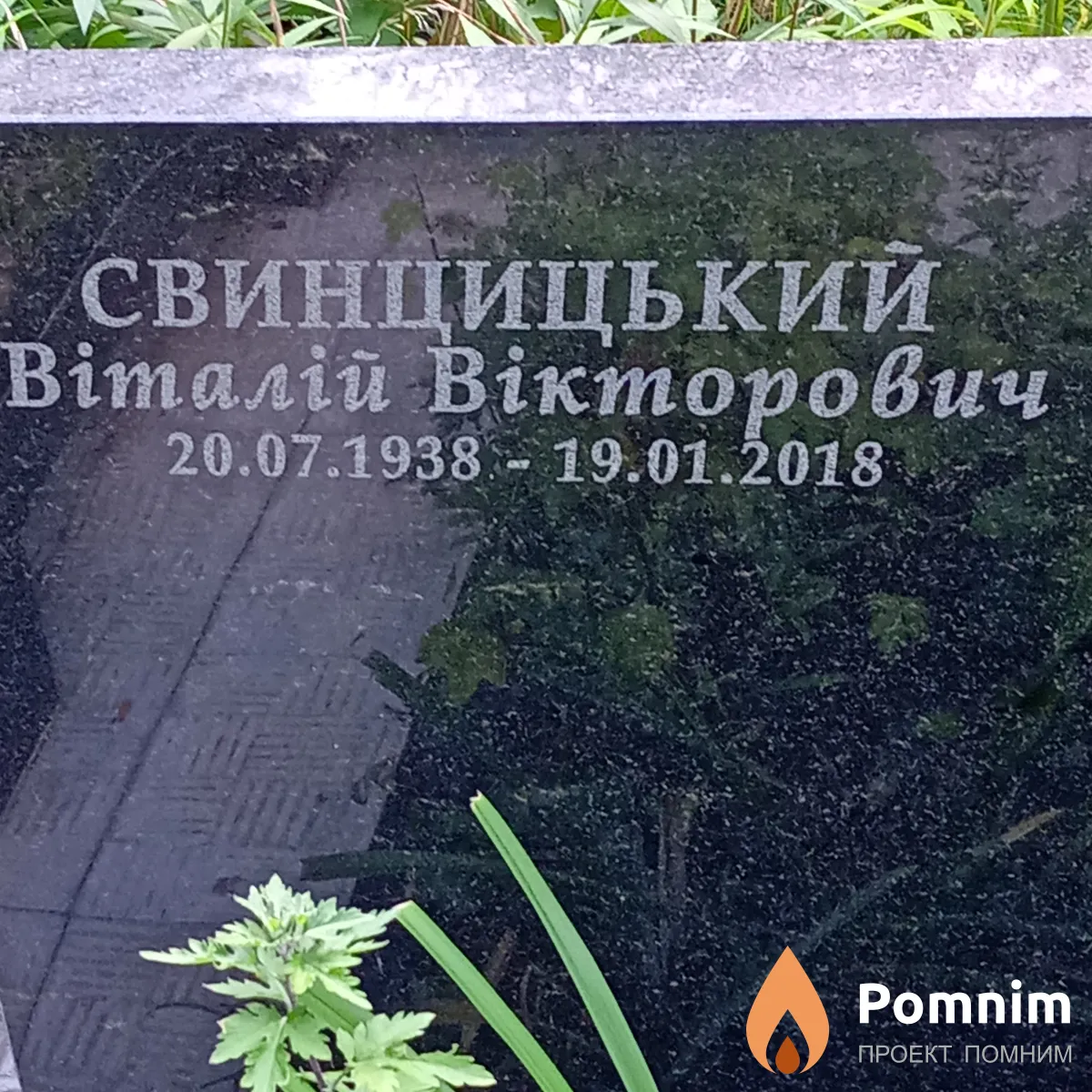Свинцицький Віталій Вікторович