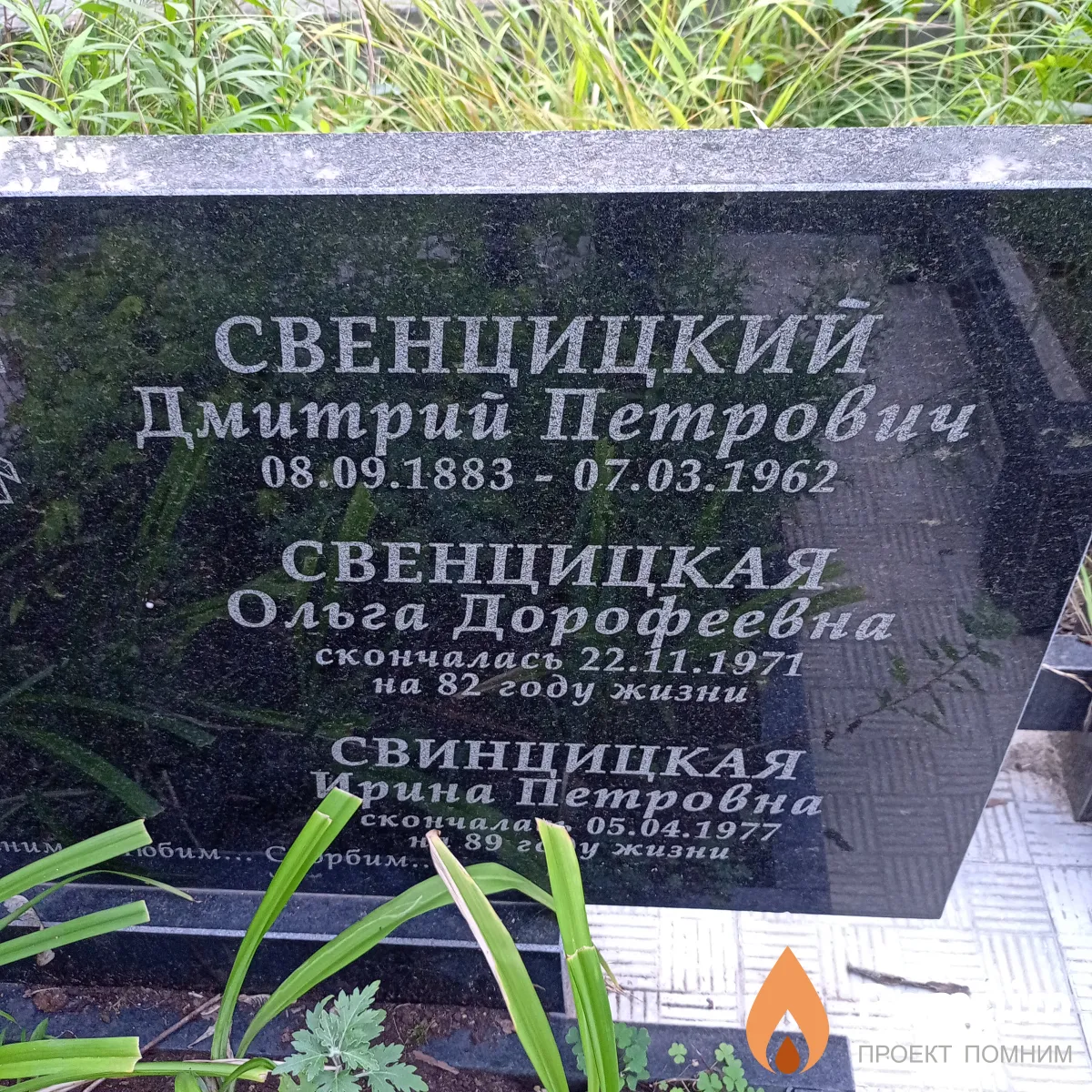 Свенцицкий Дмитрий Петрович