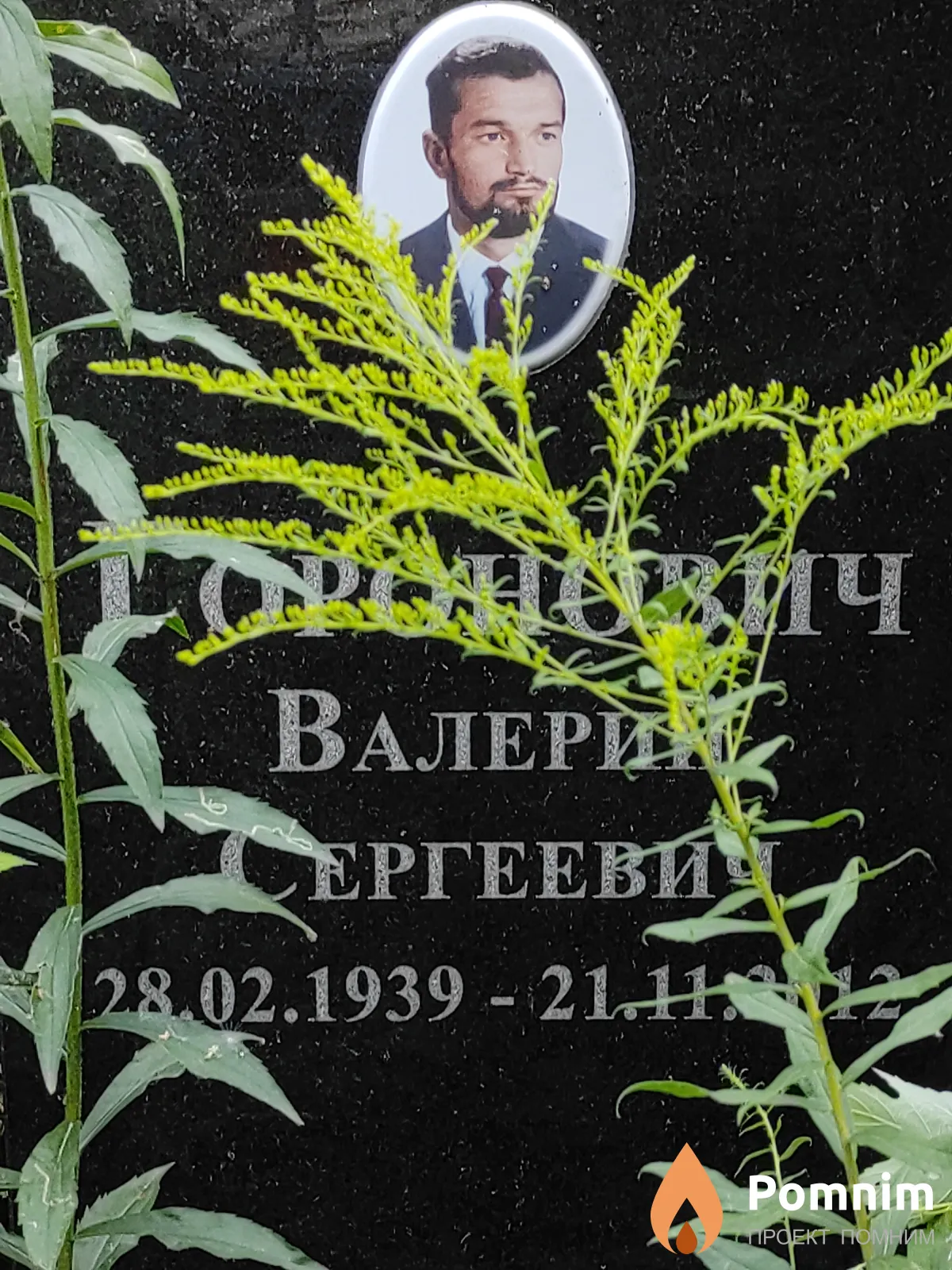 Горонович Валерий Сергеевич