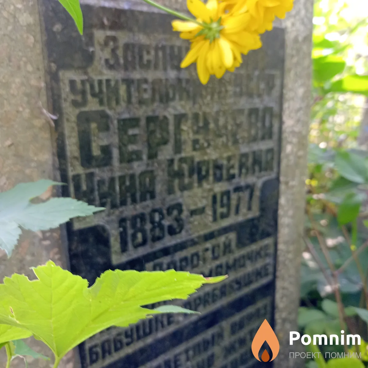 Сергучева Нина Юрьевна