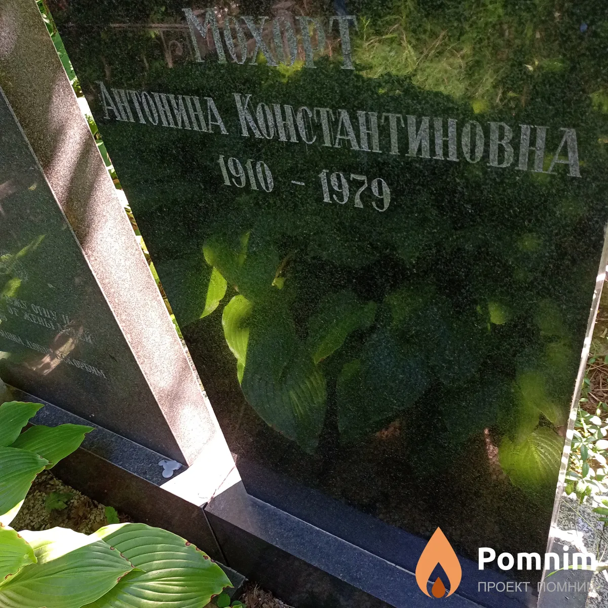 Мохорт Антонина Константиновна