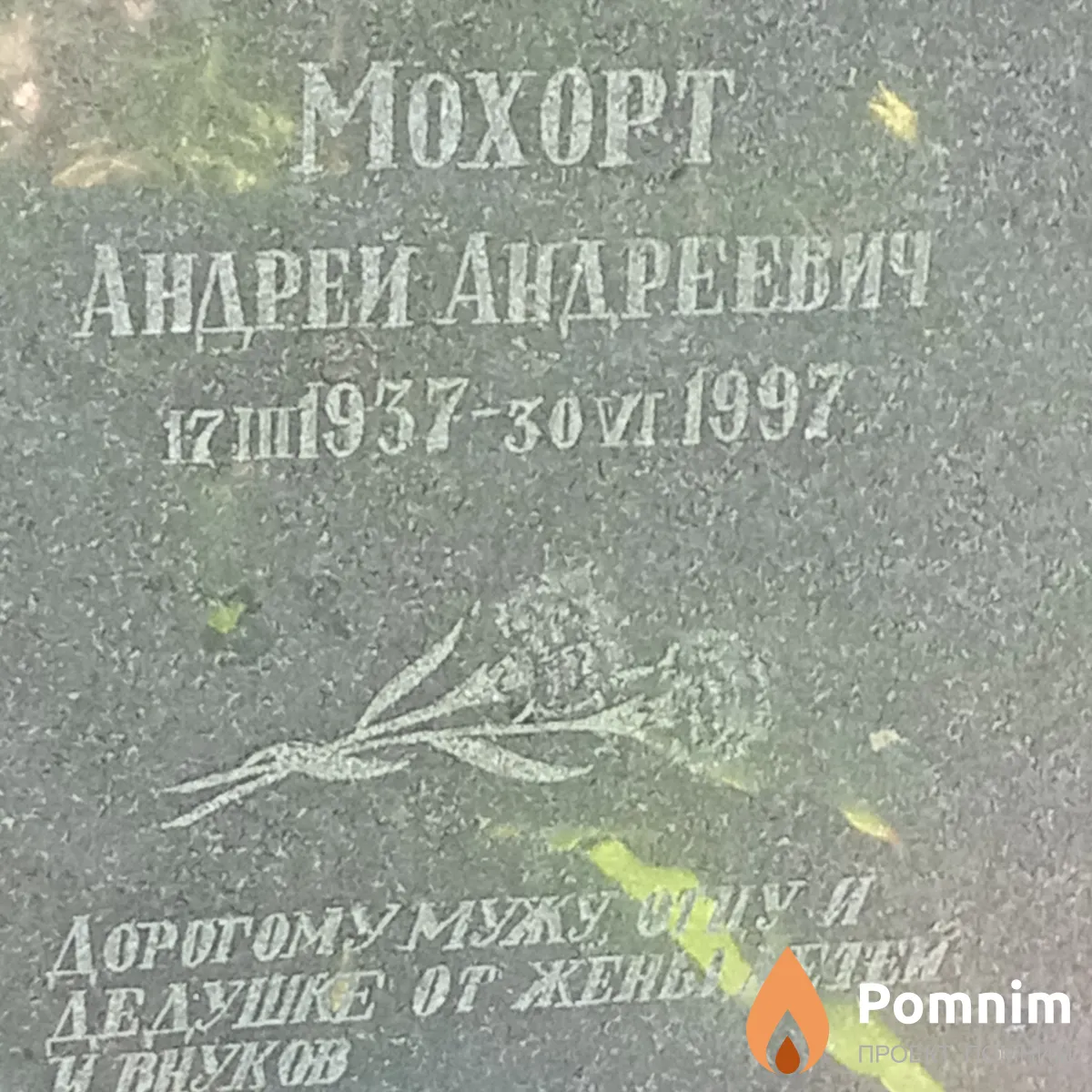Мохорт Андрей Андреевич