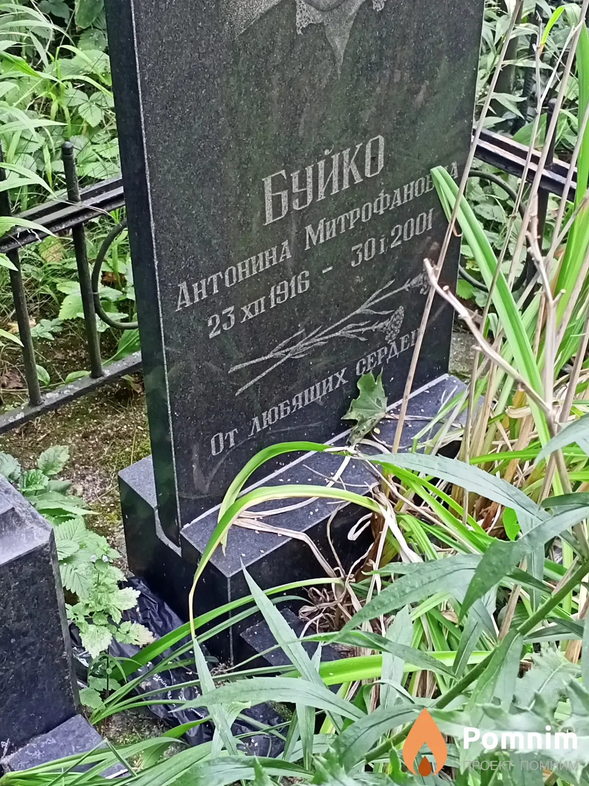 Буйко Антонина Митрофановна