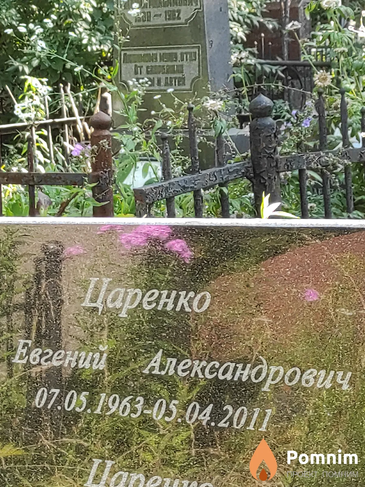 Царенко Евгений Александрович