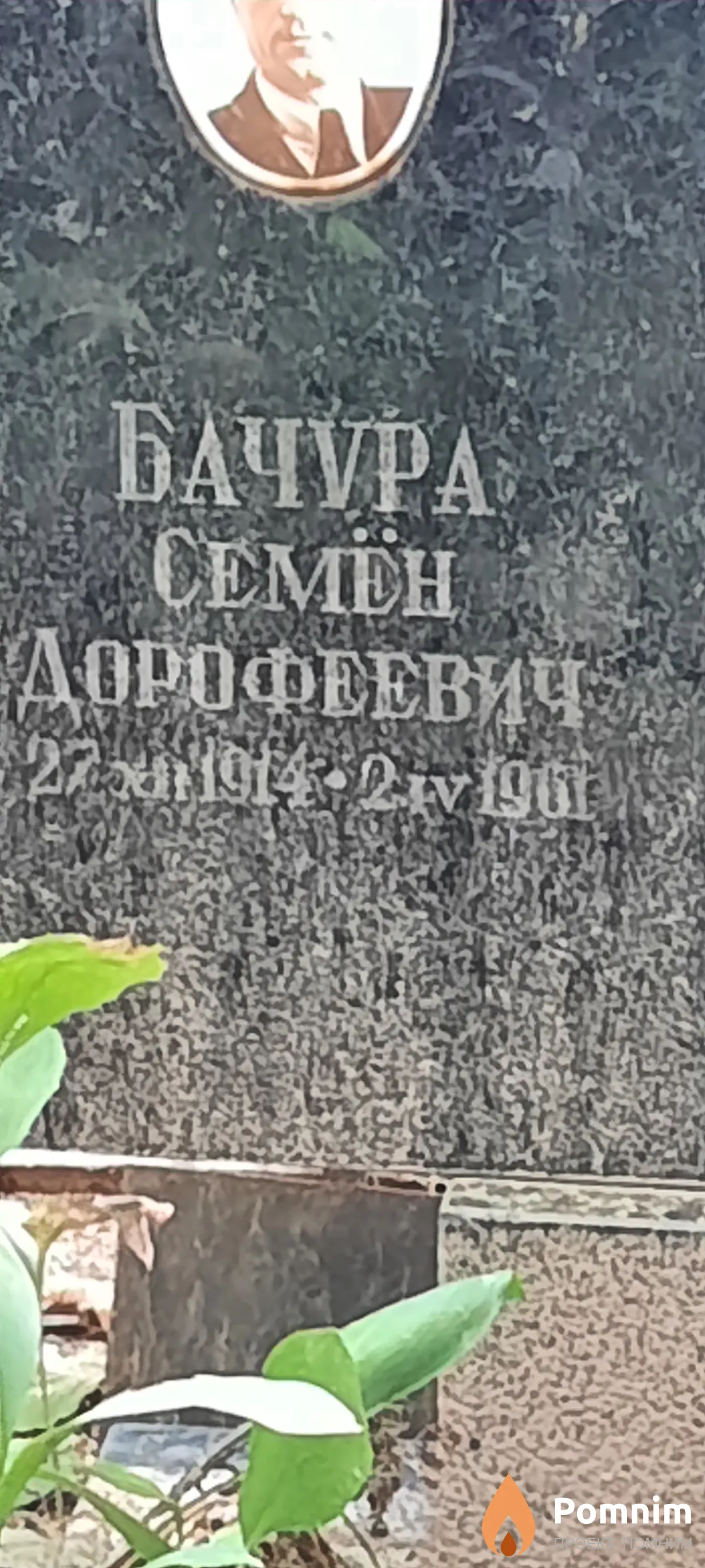 Бачура Семён Дорофеевич
