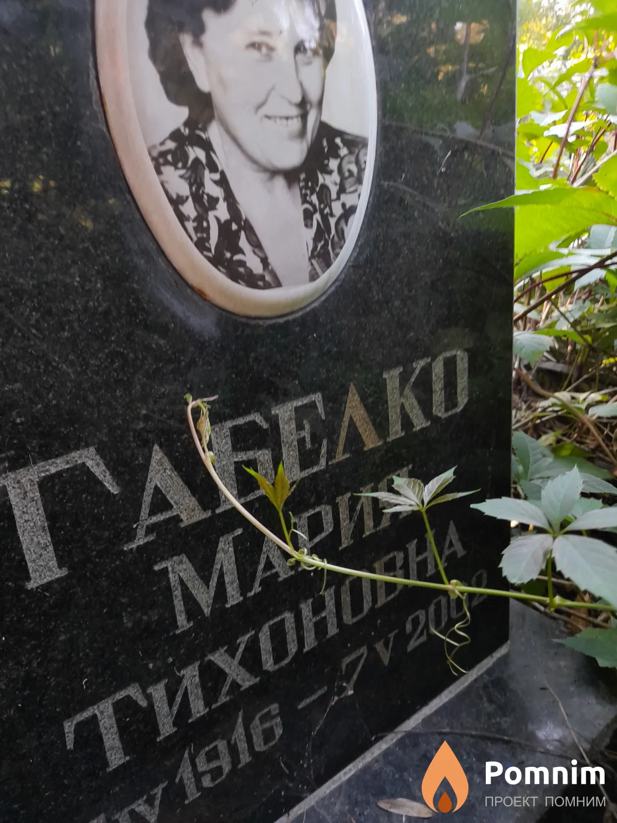 Габелко Мария Тихоновна