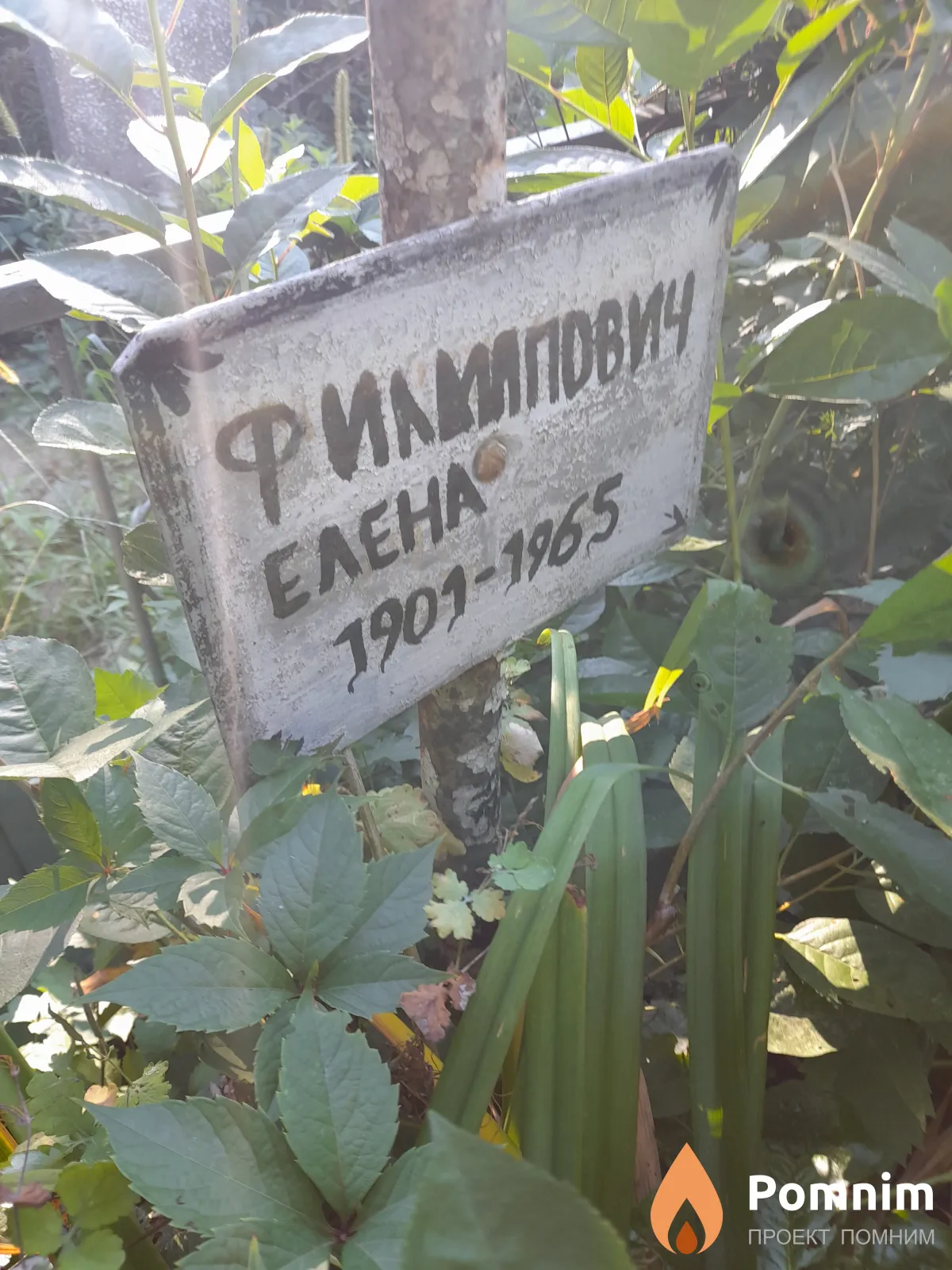Филипович Елена