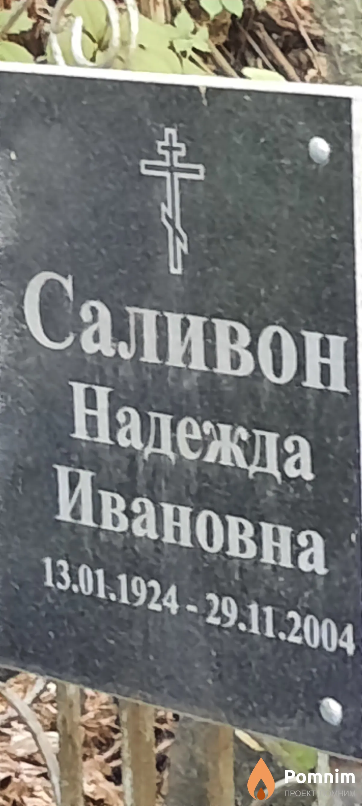 Саливон Надежда Ивановна