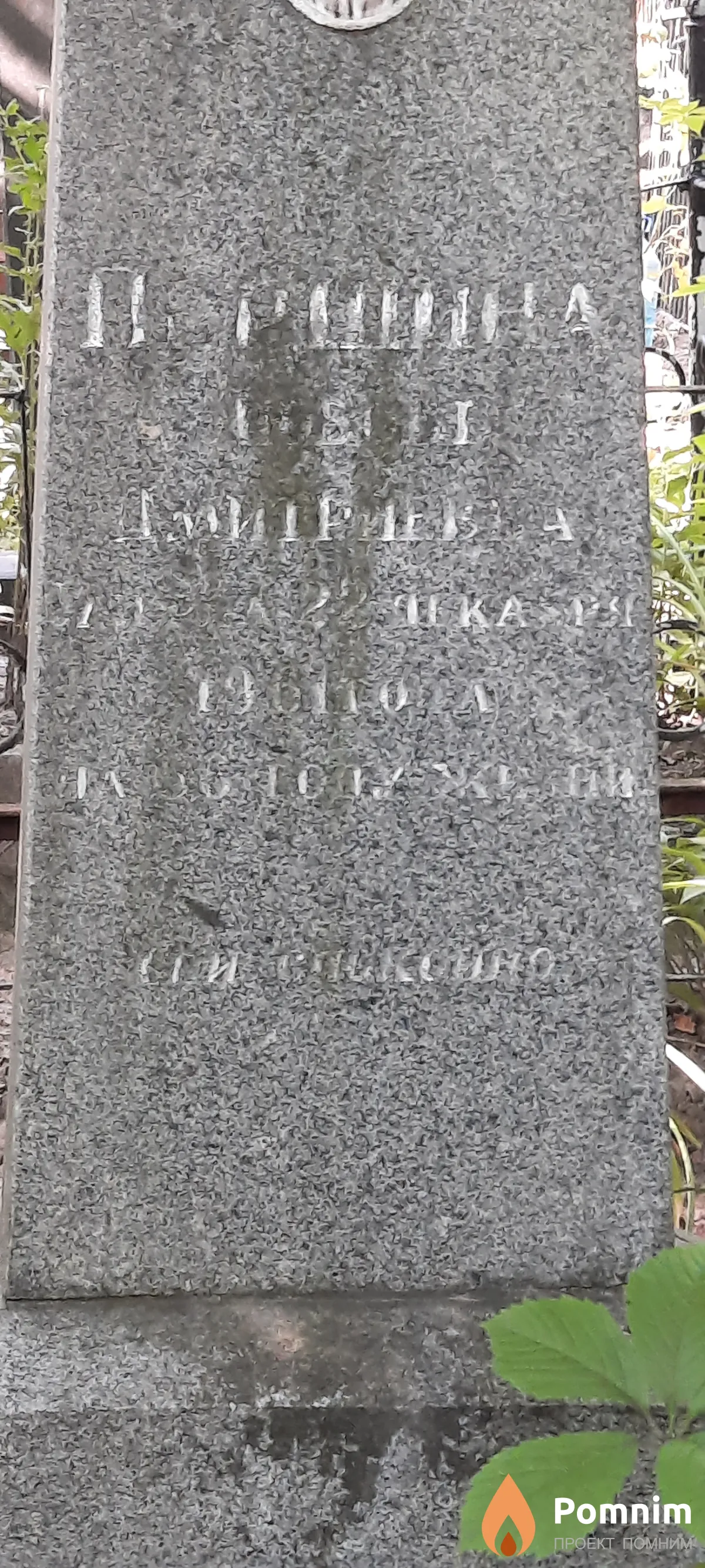 Поршина П Д