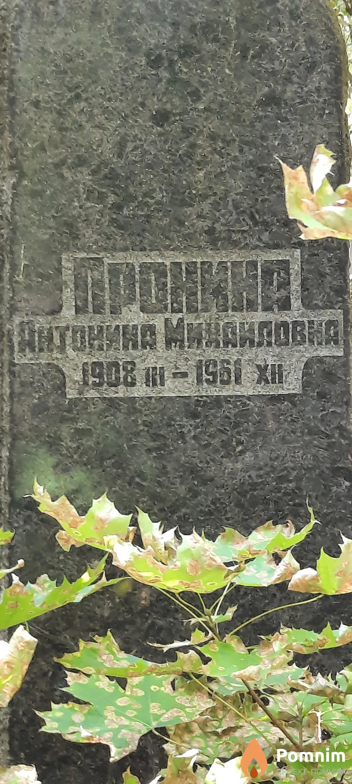 Пронина Антонина Михайловна