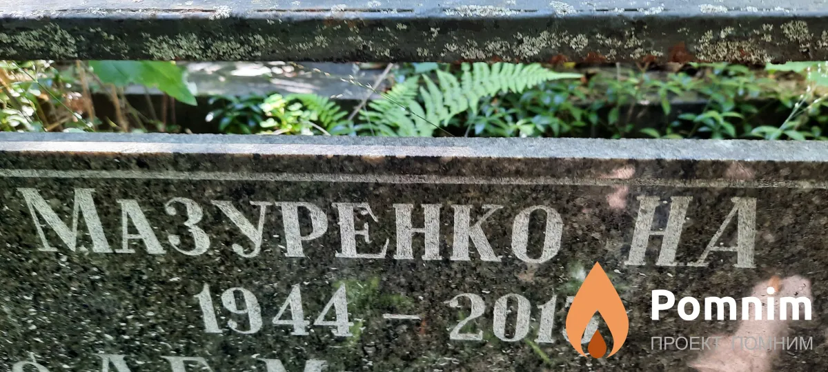 Мазуренко Н А