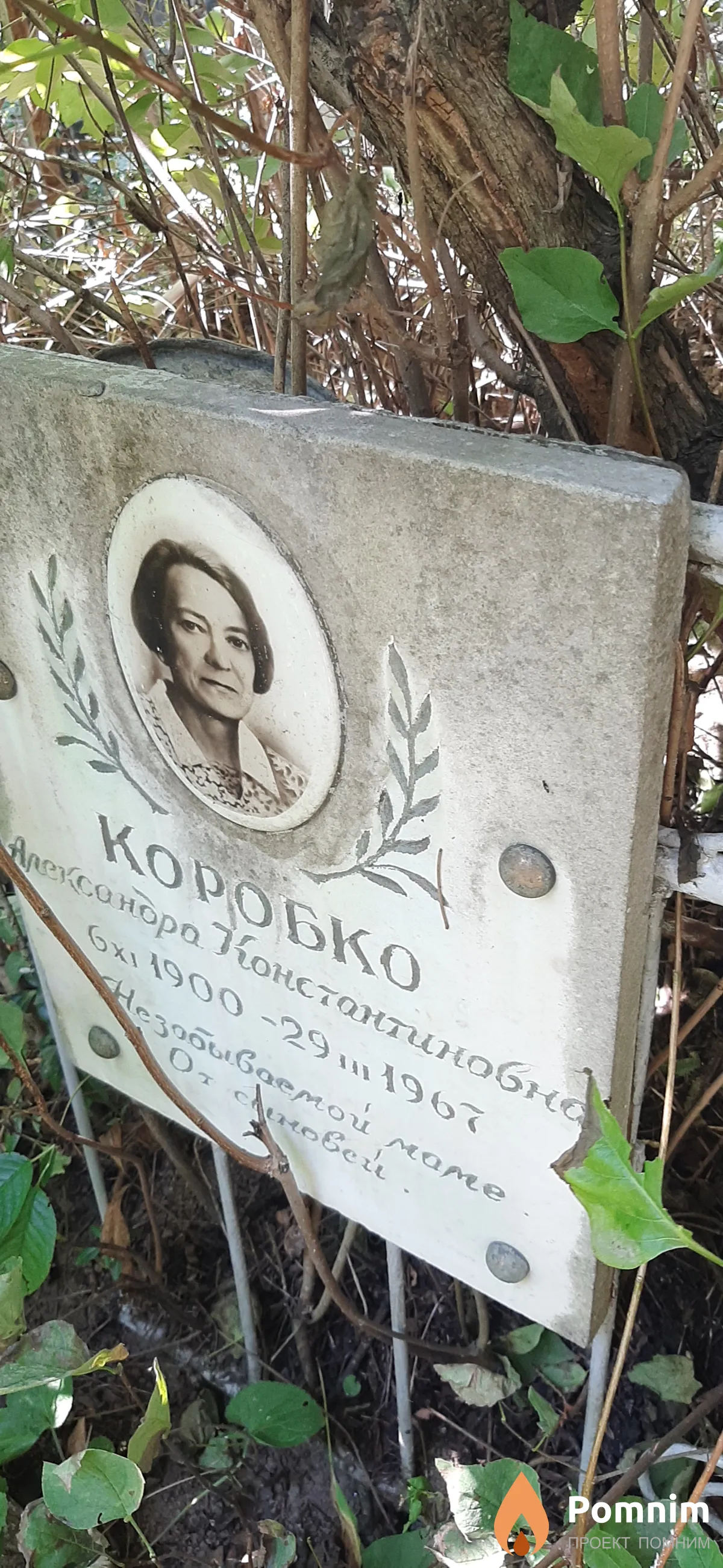 Коробко Александра Константиновна