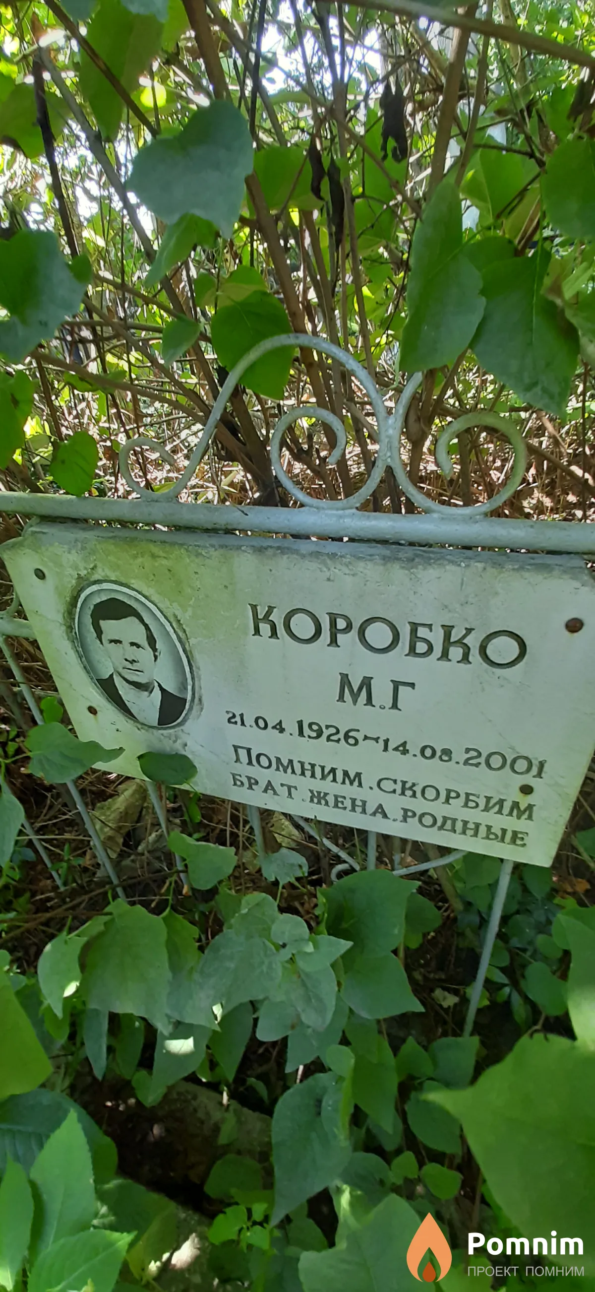 Коробко М. Г.