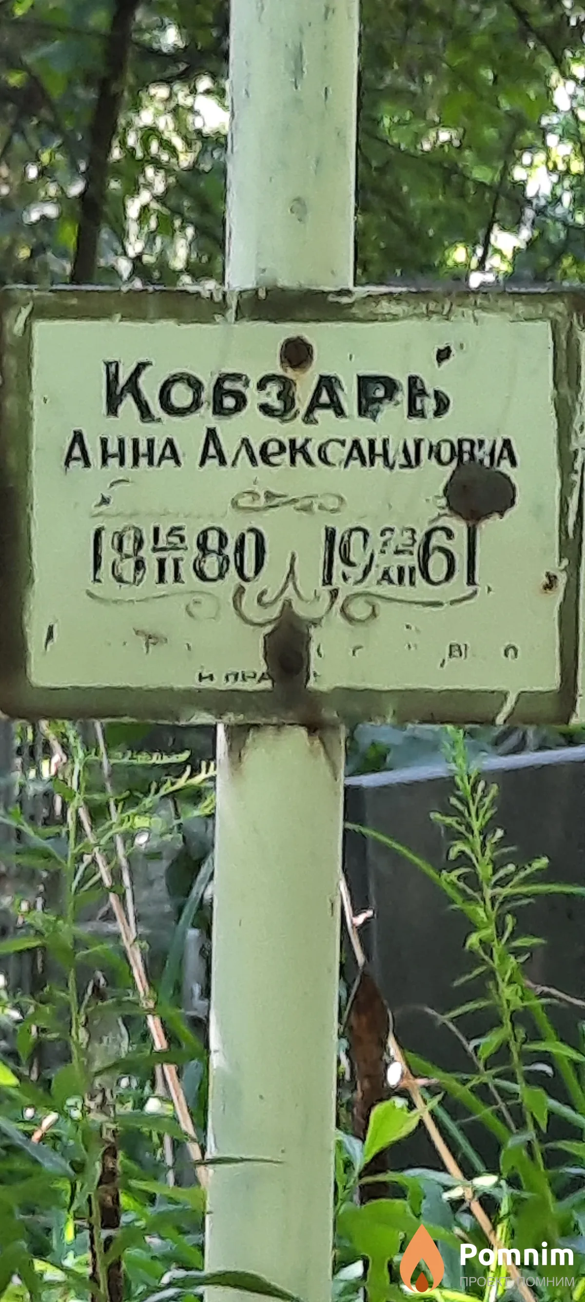 Кобзарь Анна Александровна
